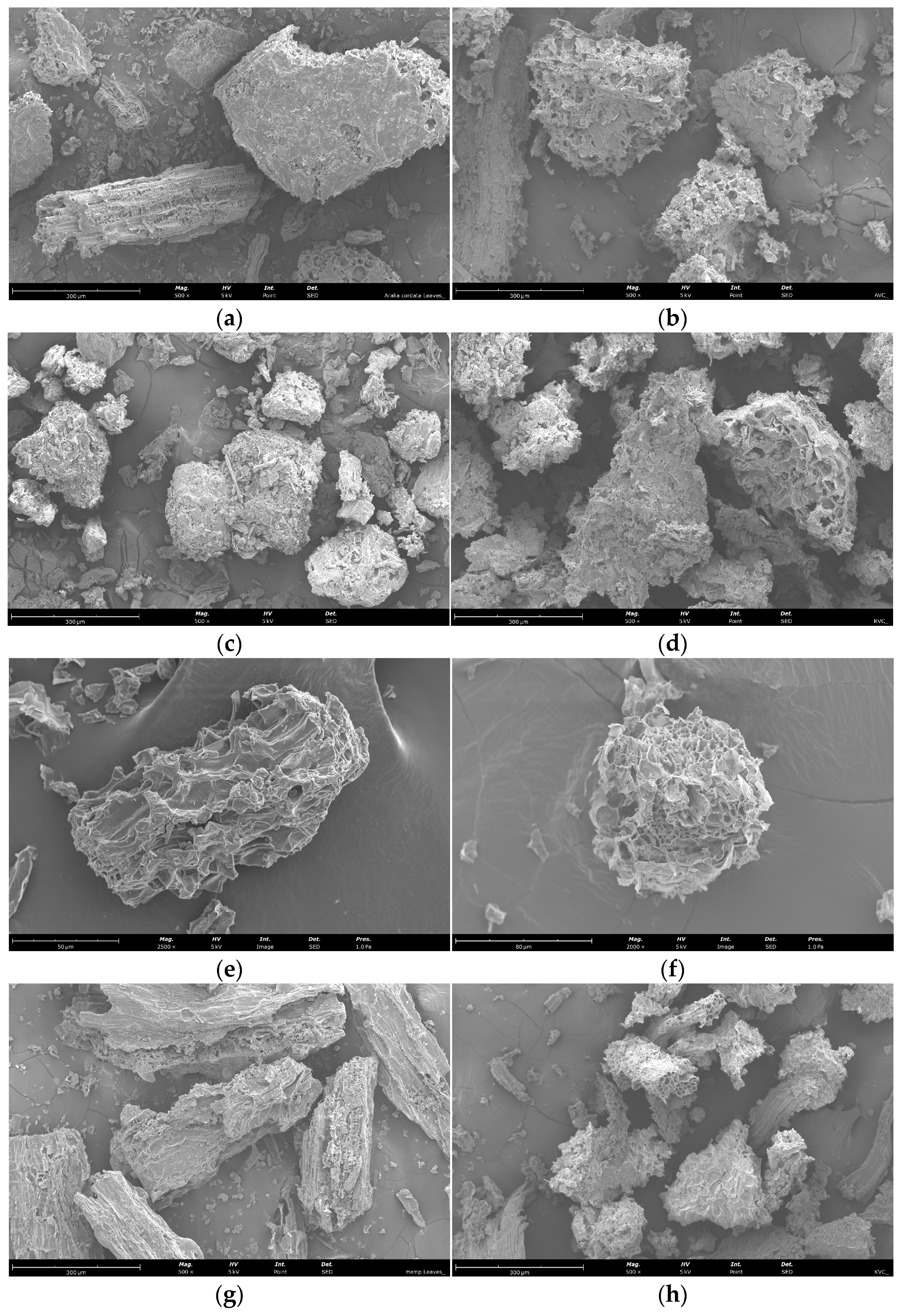 Antioxidants 13 00950 g003