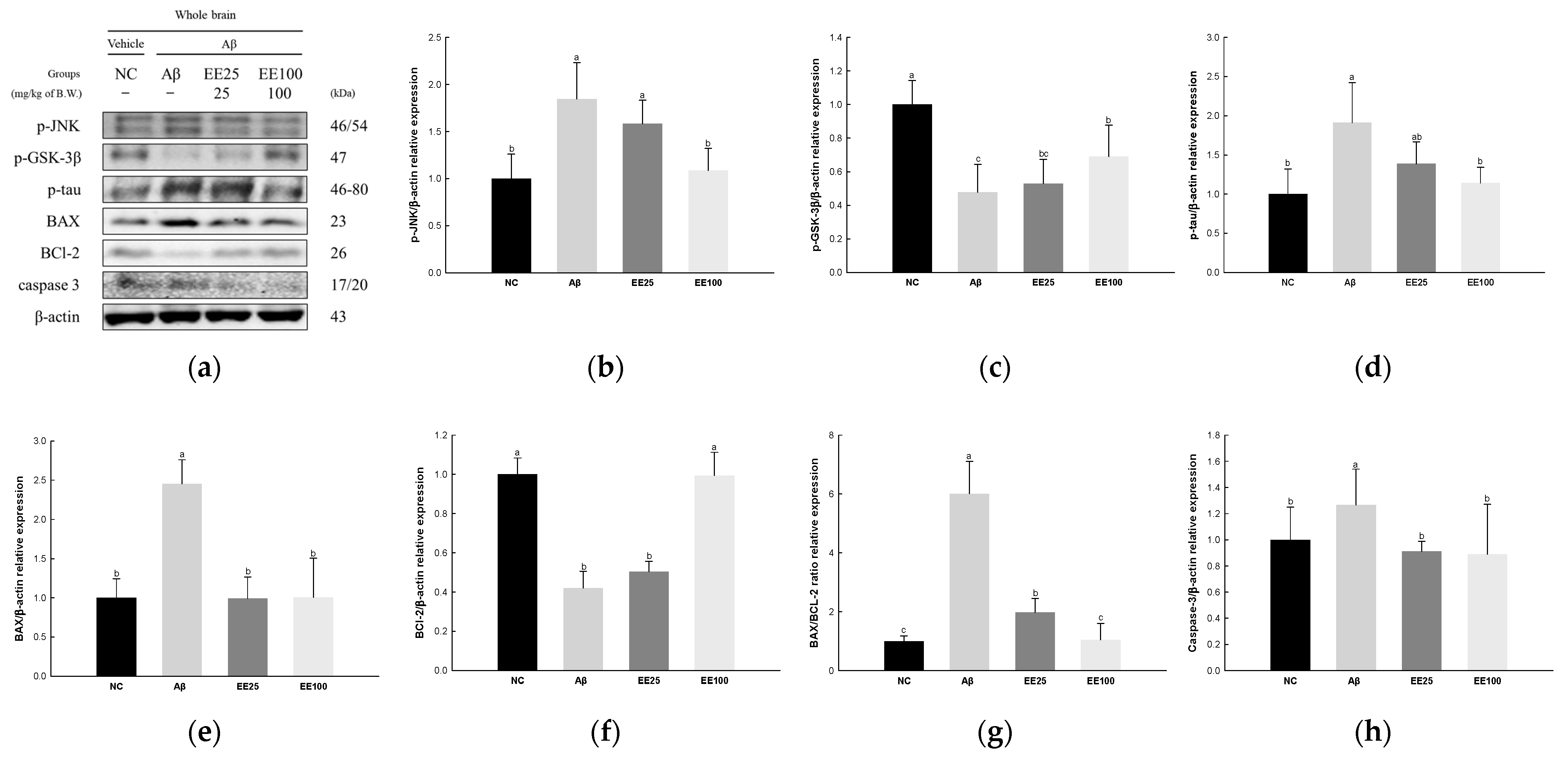 Antioxidants 13 00951 g005
