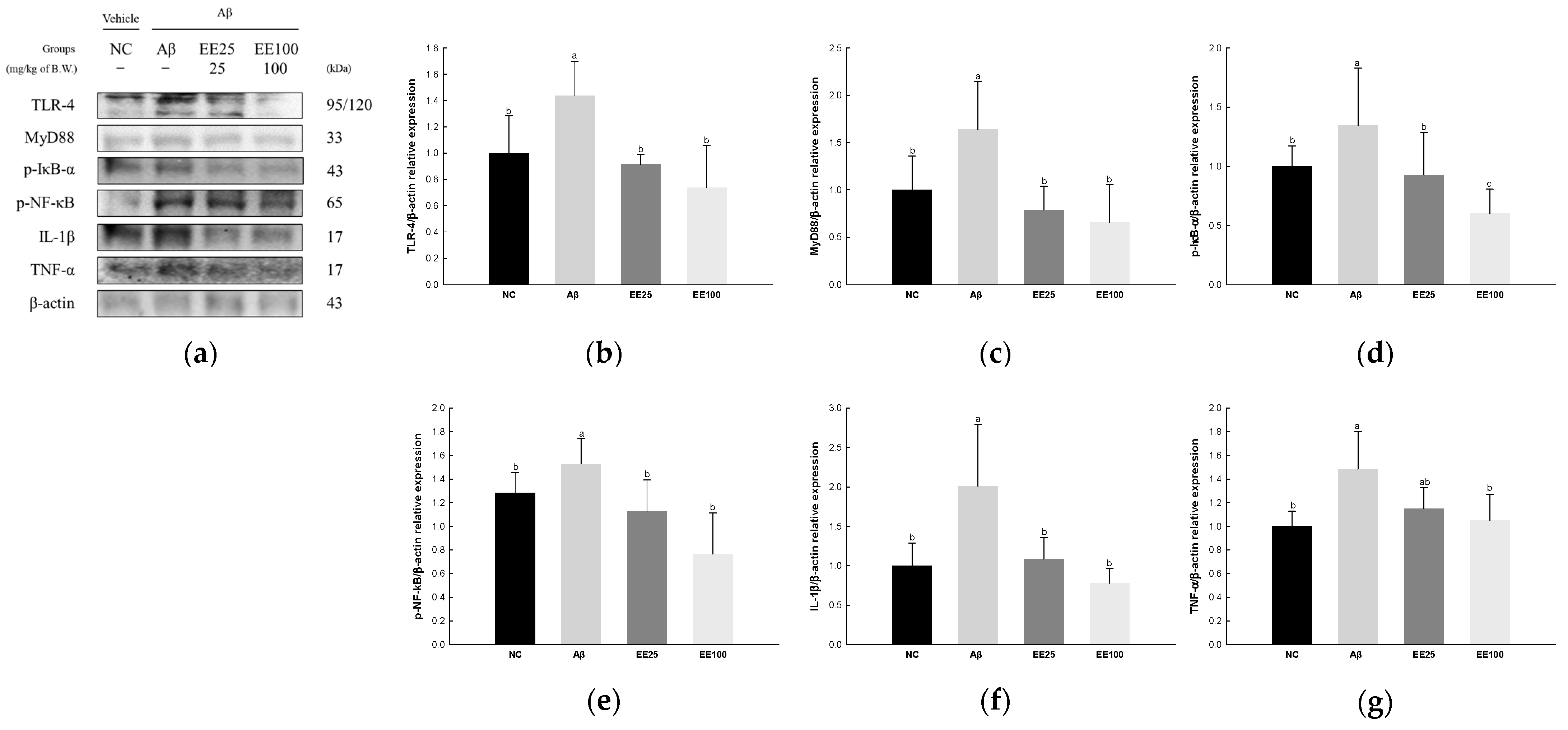 Antioxidants 13 00951 g006
