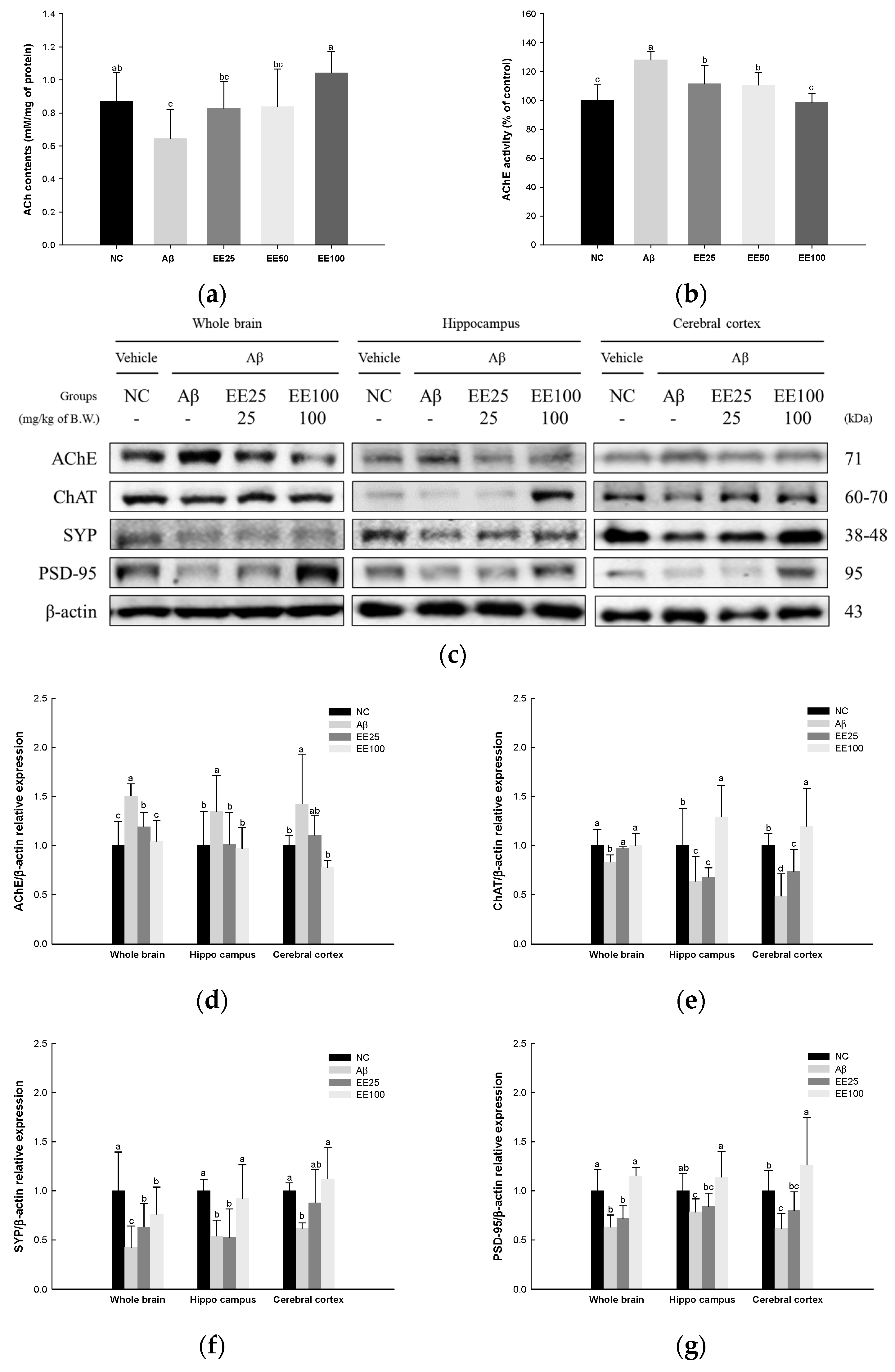 Antioxidants 13 00951 g009