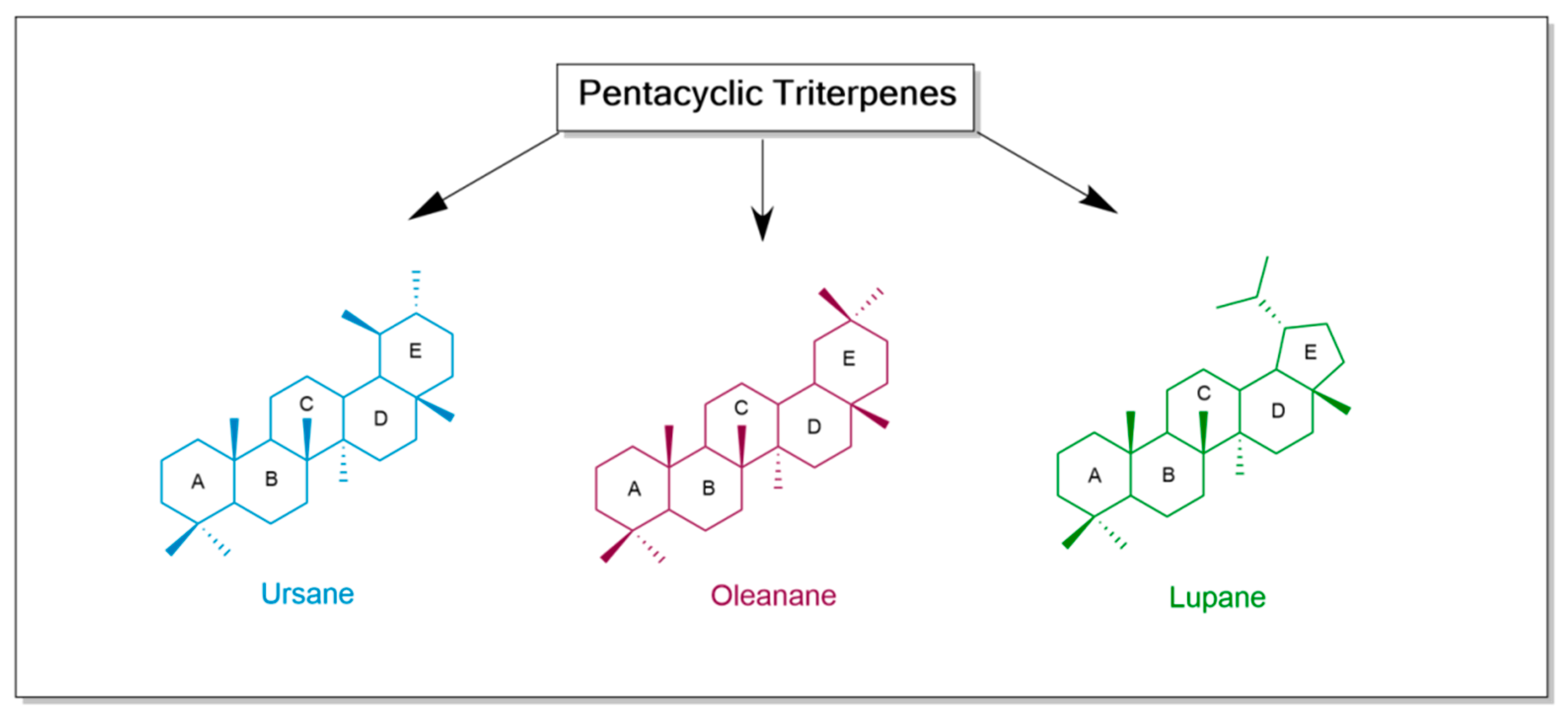 Antioxidants 13 00952 g001