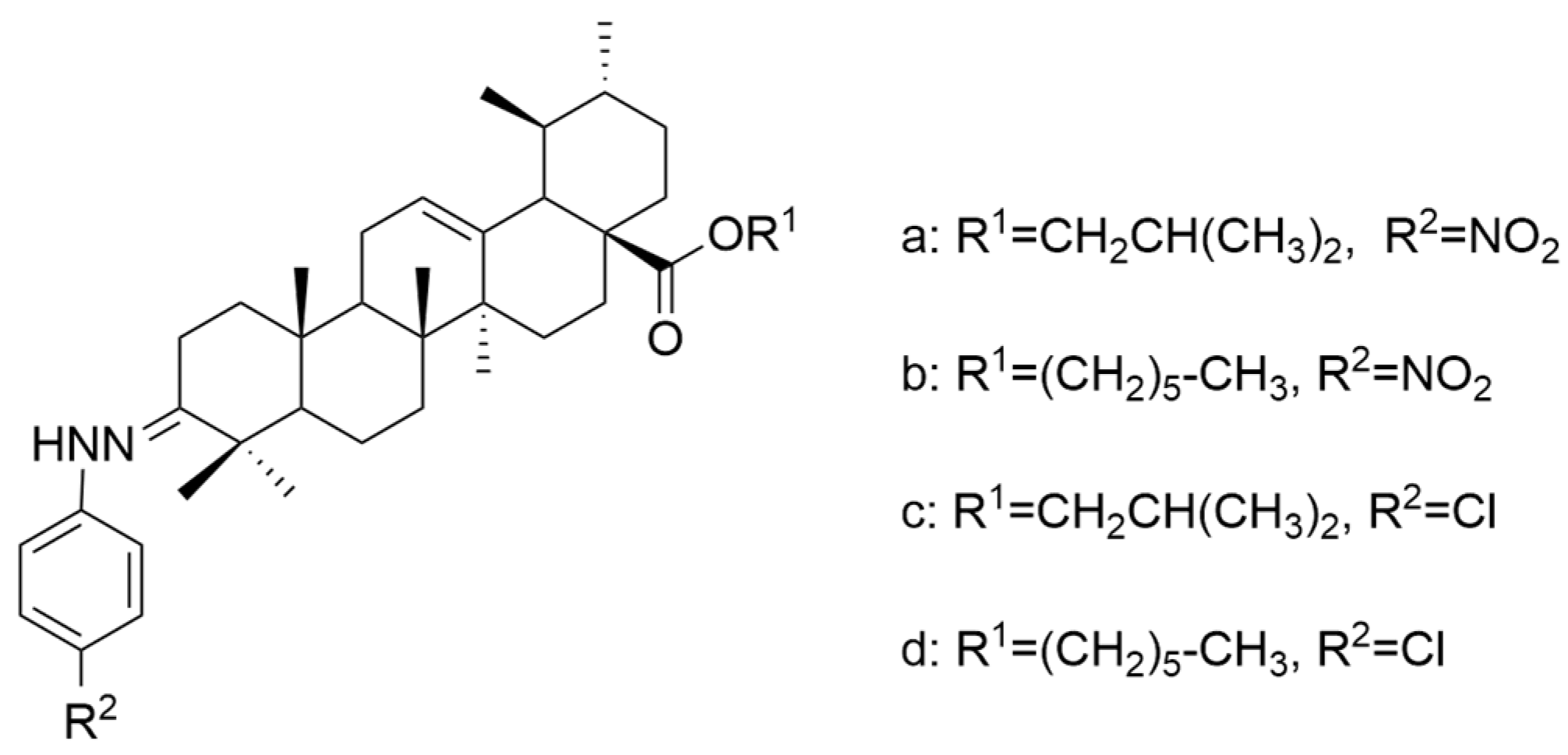 Antioxidants 13 00952 g004