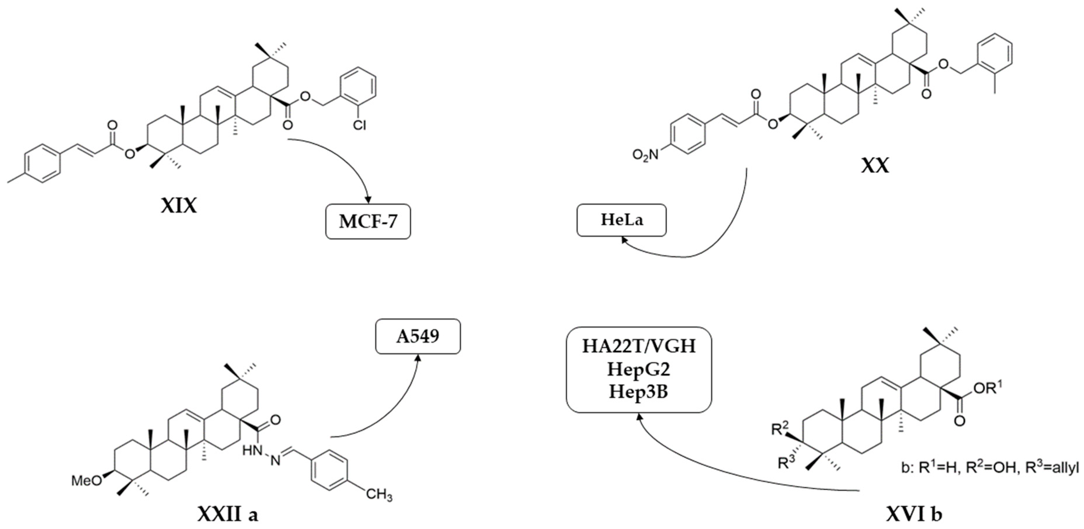 Antioxidants 13 00952 g015