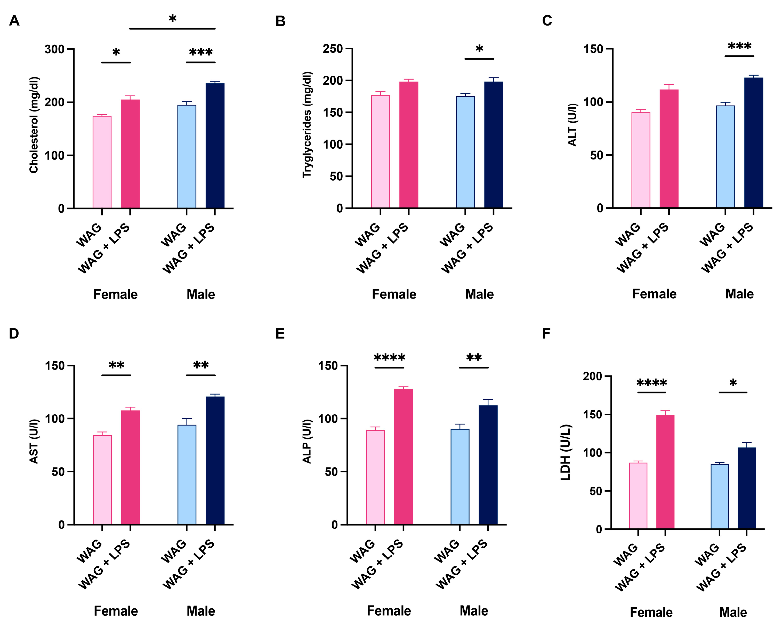 Antioxidants 13 00957 g001