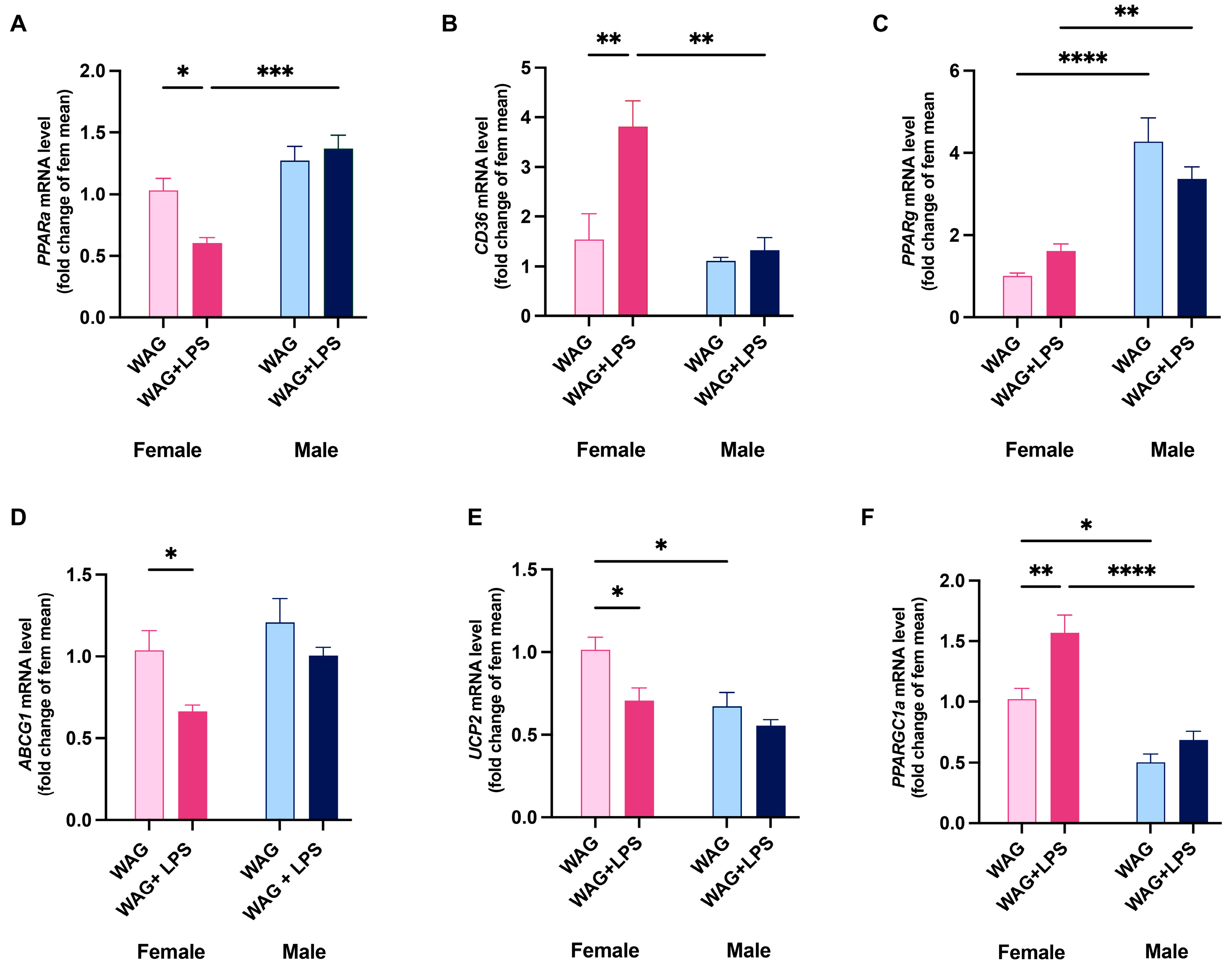 Antioxidants 13 00957 g004