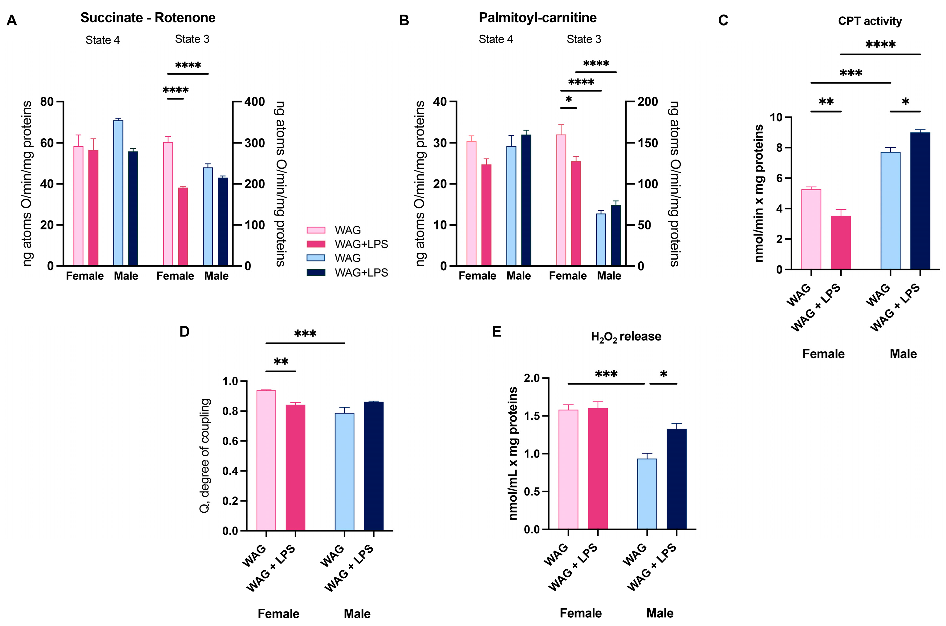 Antioxidants 13 00957 g005