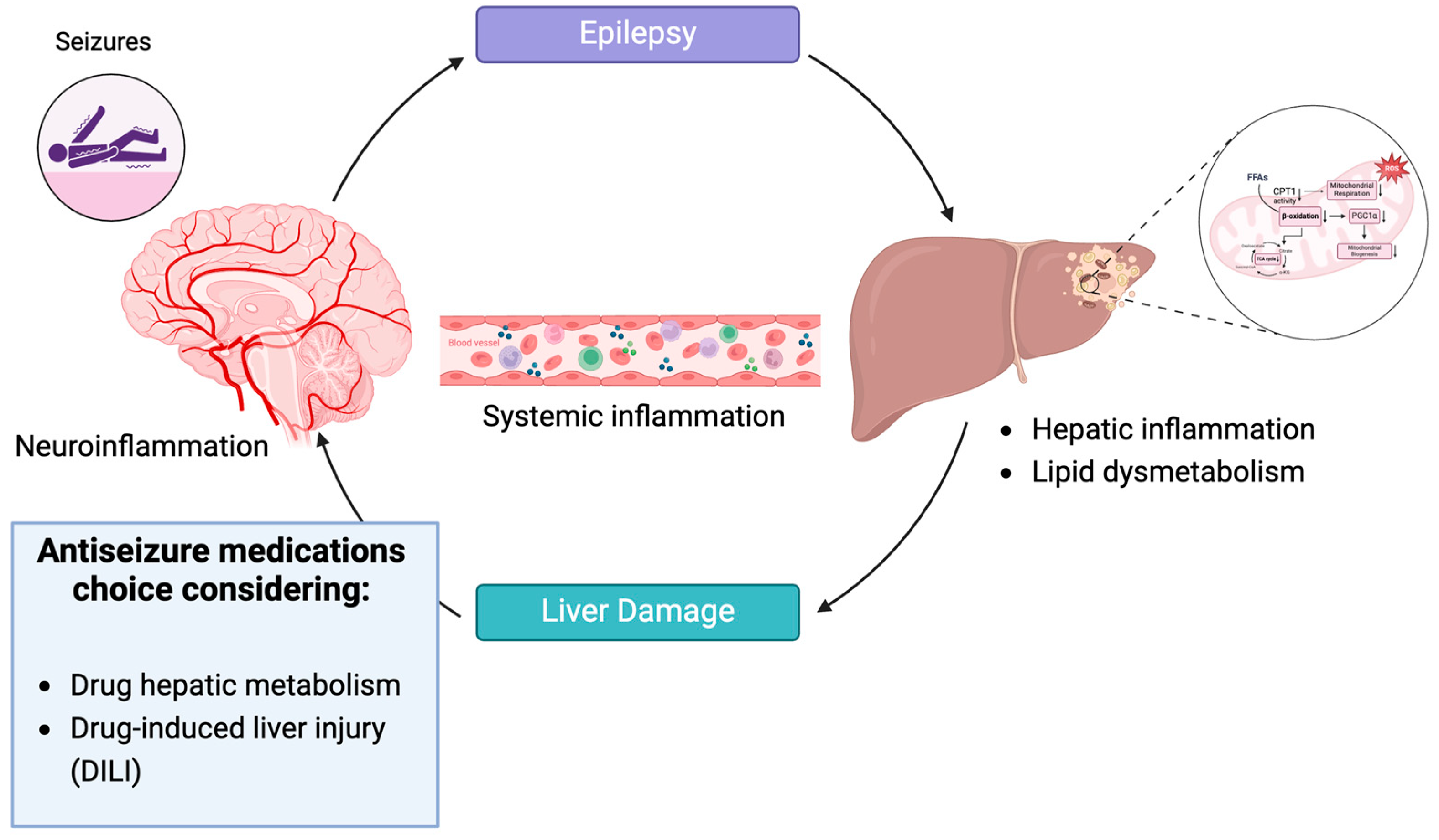 Antioxidants 13 00957 sch001