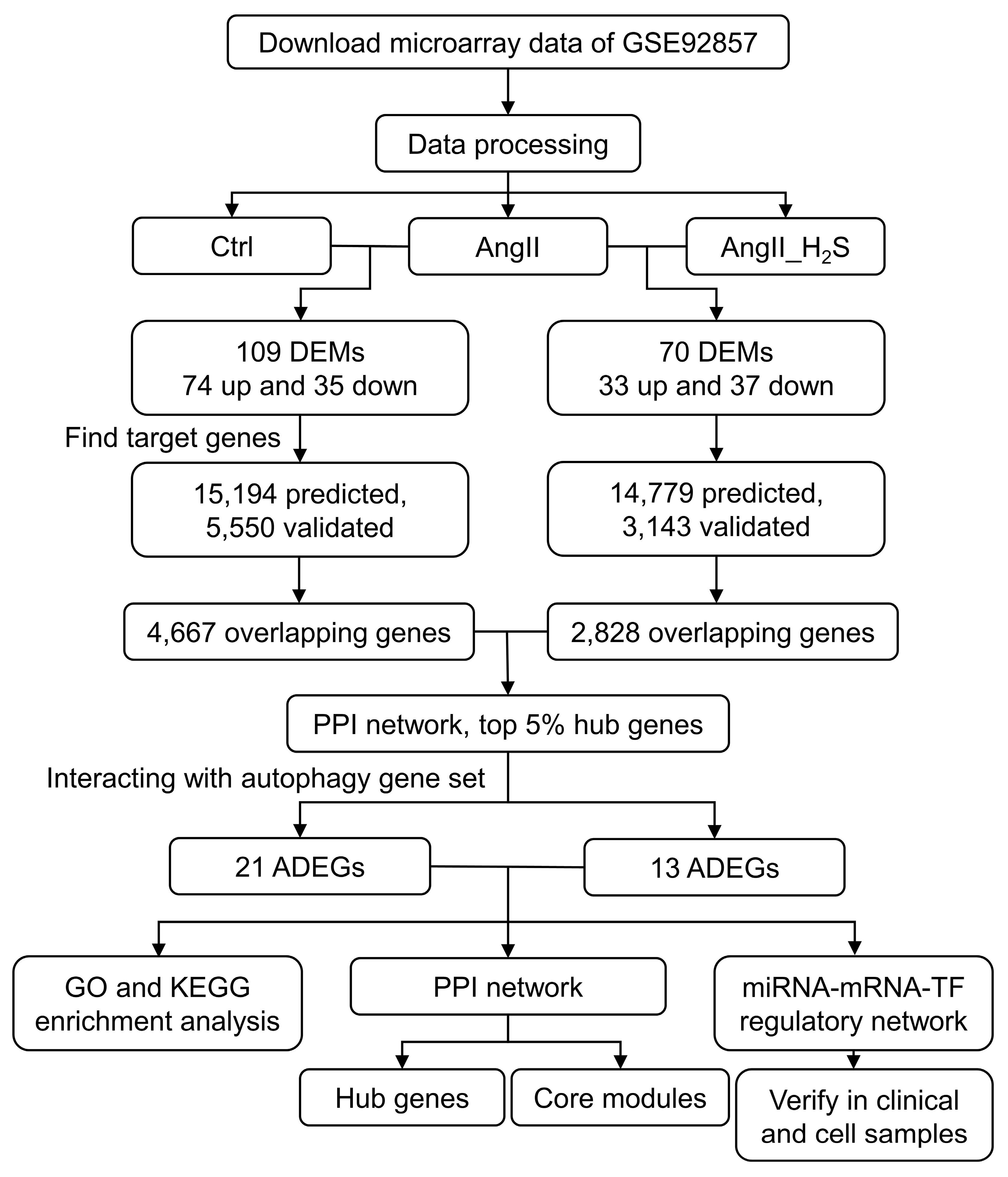 Antioxidants 13 00958 g001