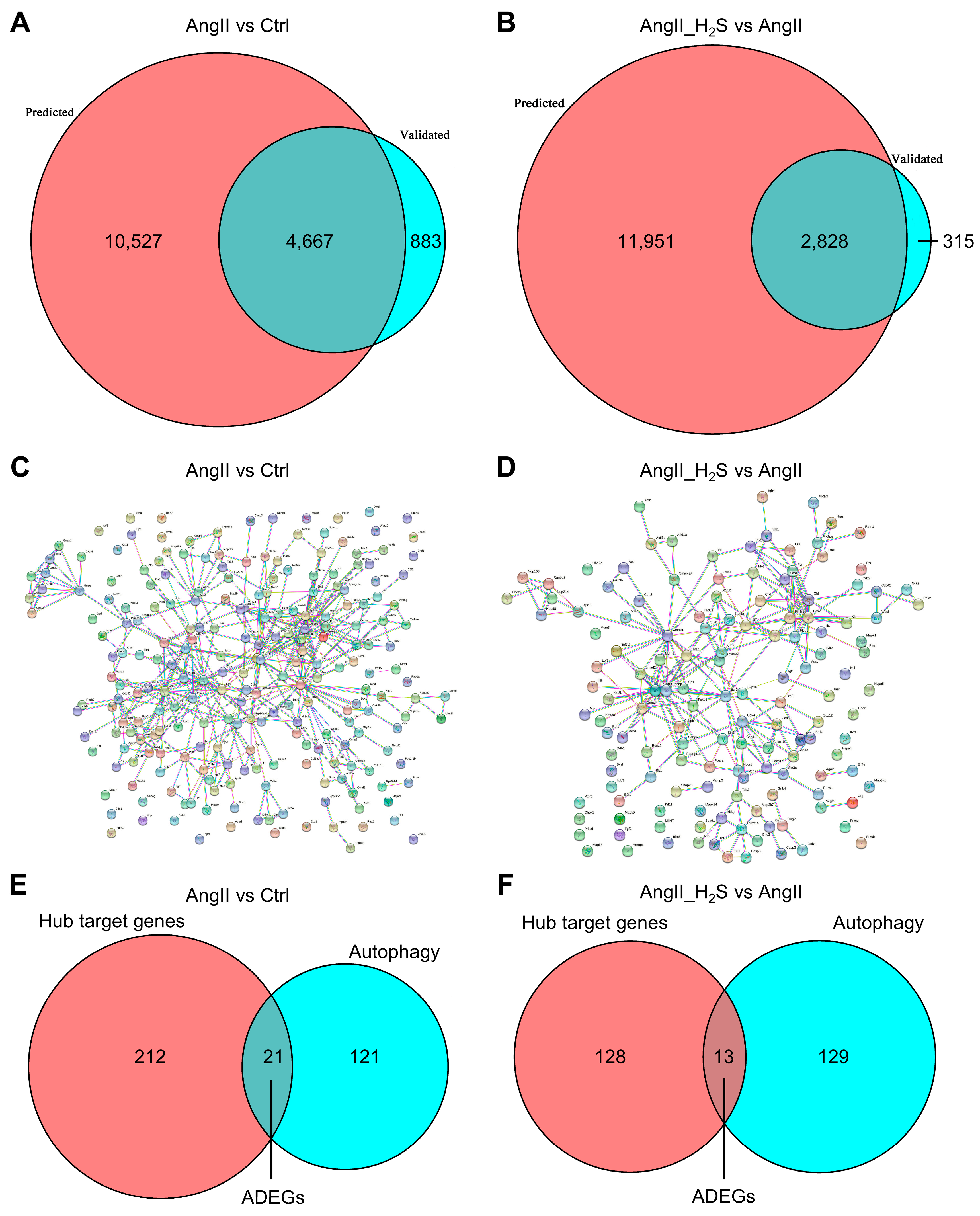Antioxidants 13 00958 g003