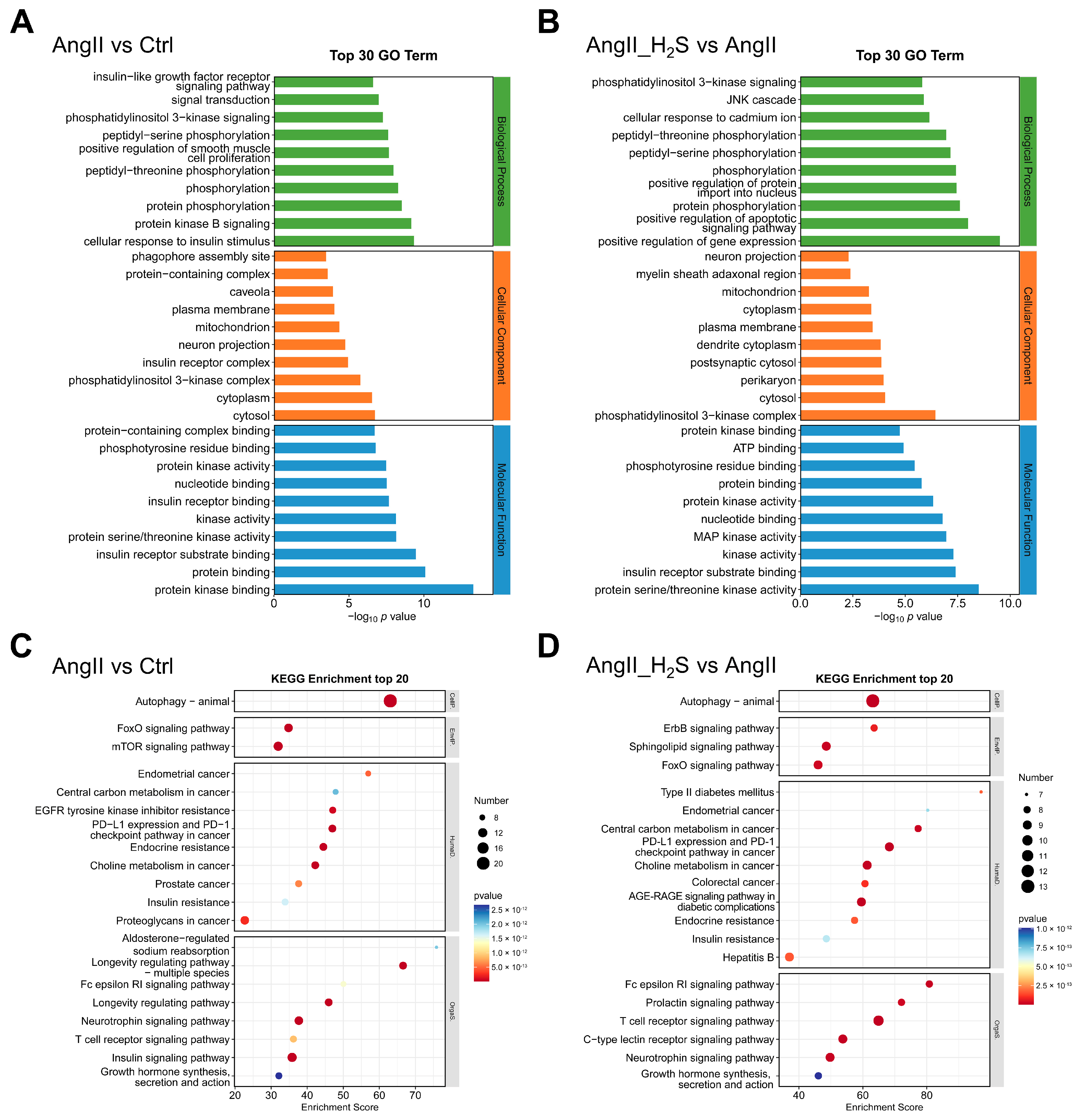 Antioxidants 13 00958 g004