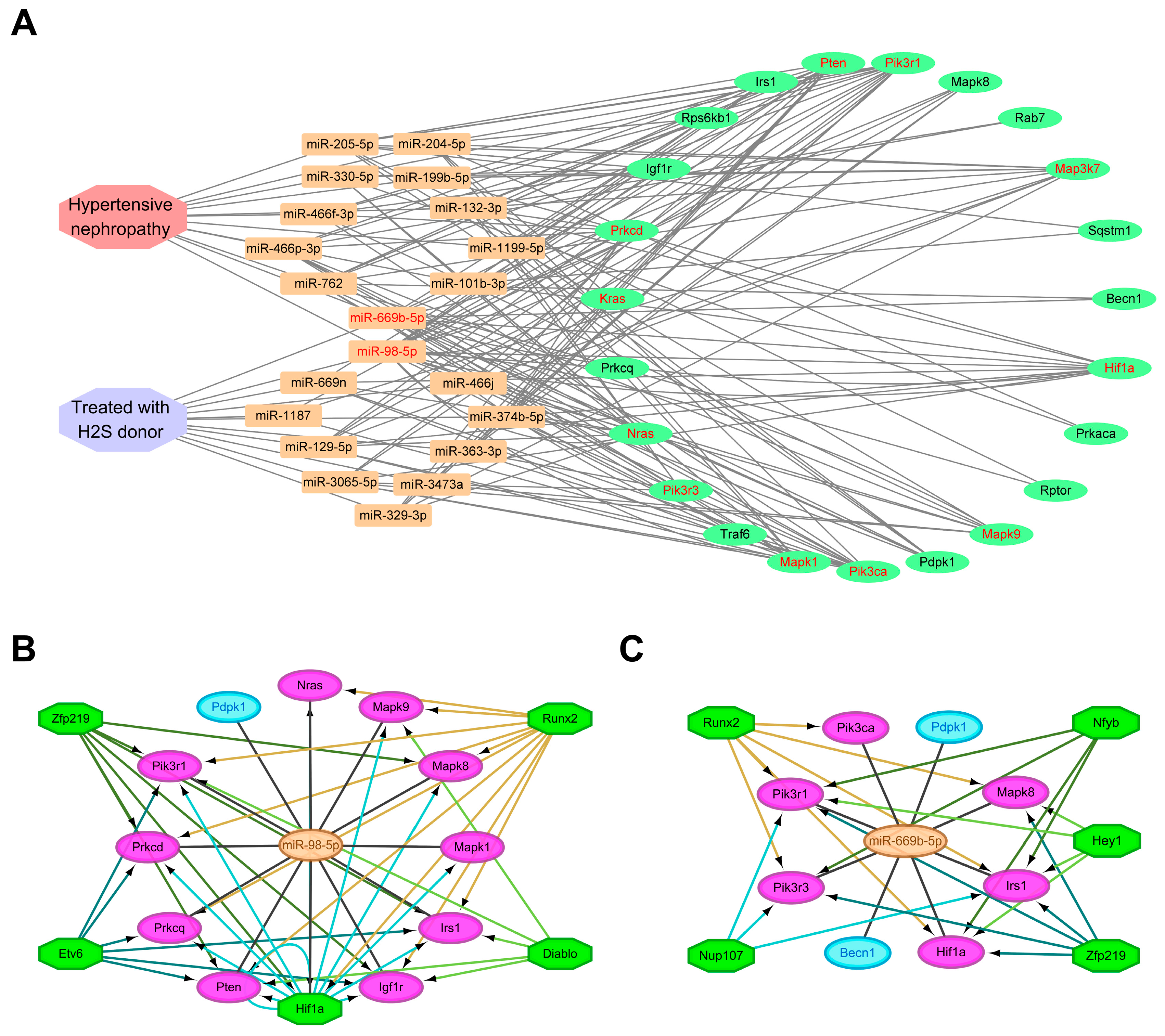 Antioxidants 13 00958 g006