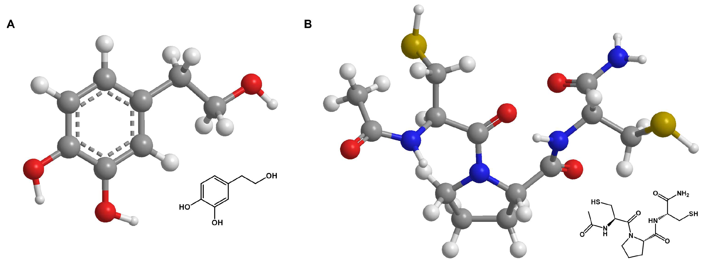 Antioxidants 13 00961 g001
