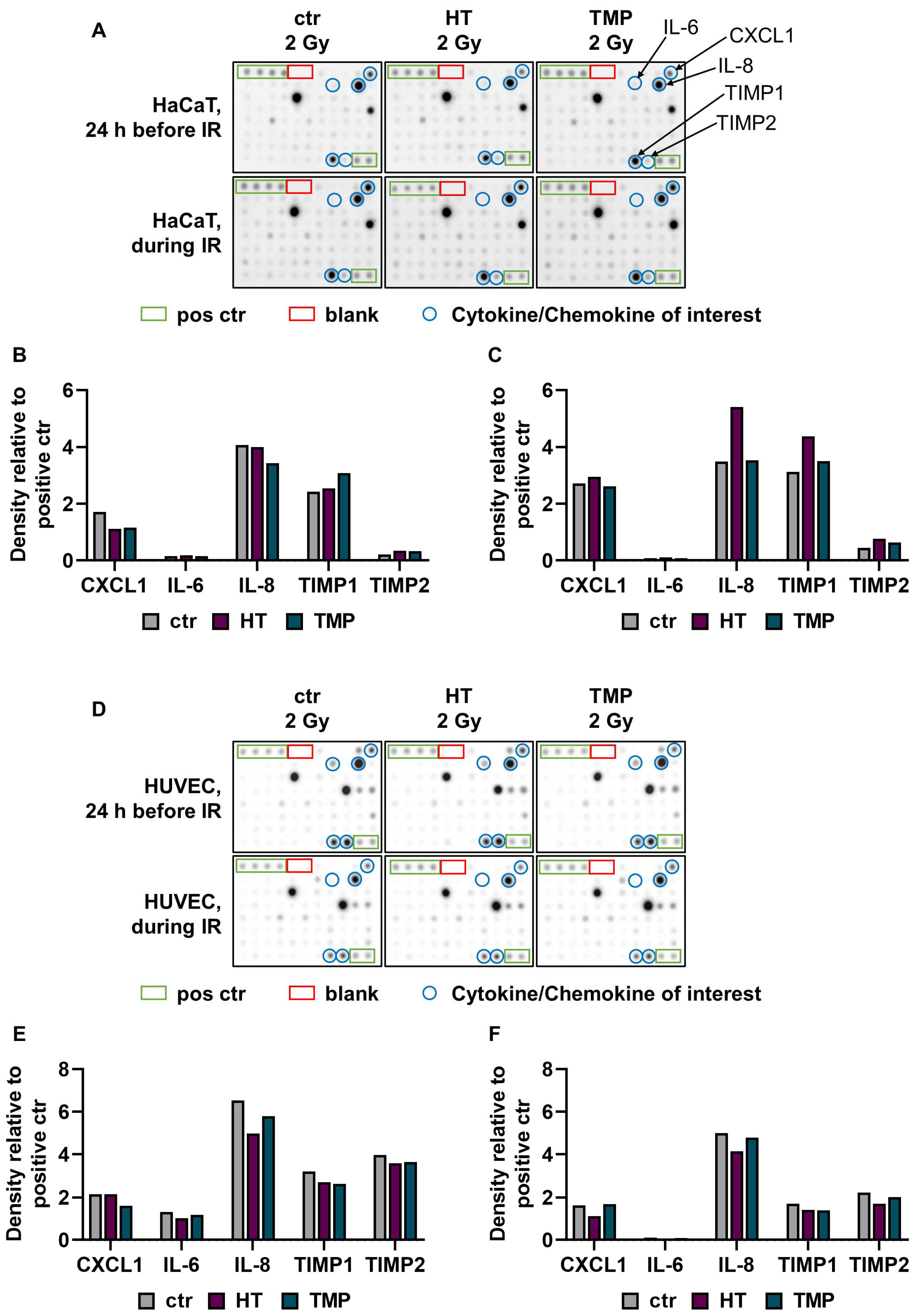 Antioxidants 13 00961 g004