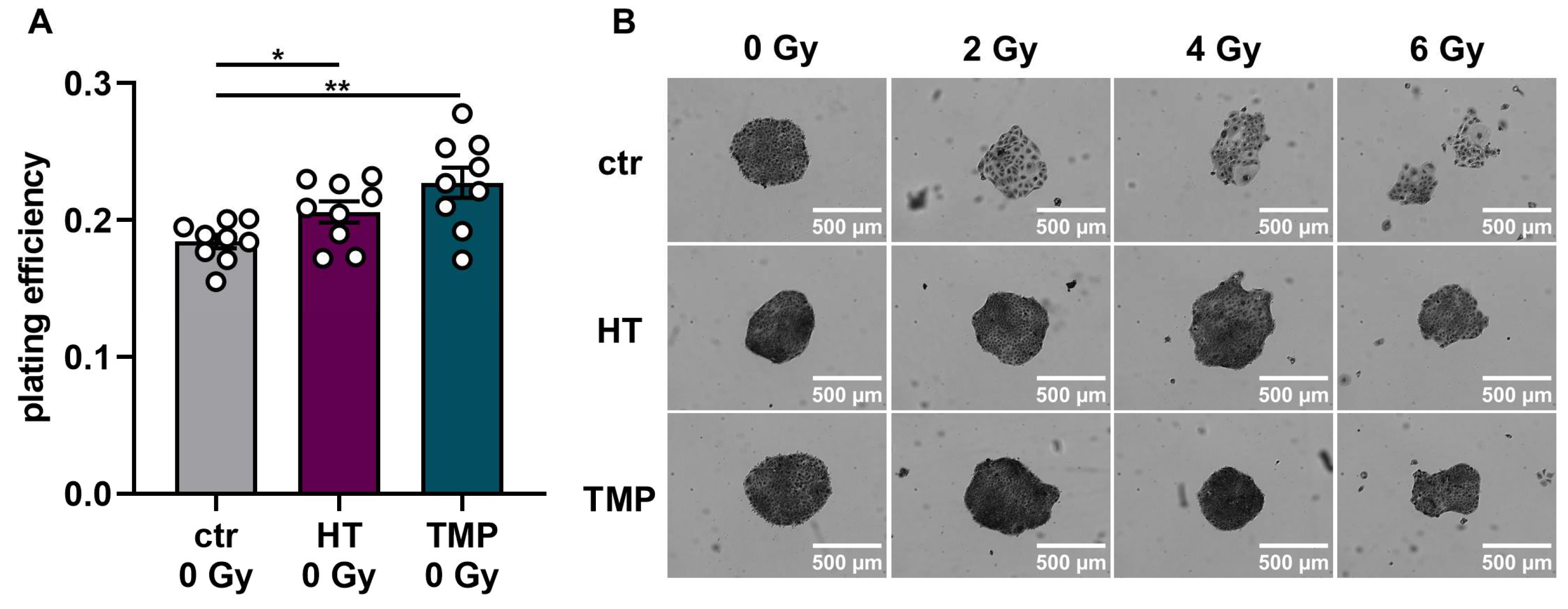 Antioxidants 13 00961 g006a