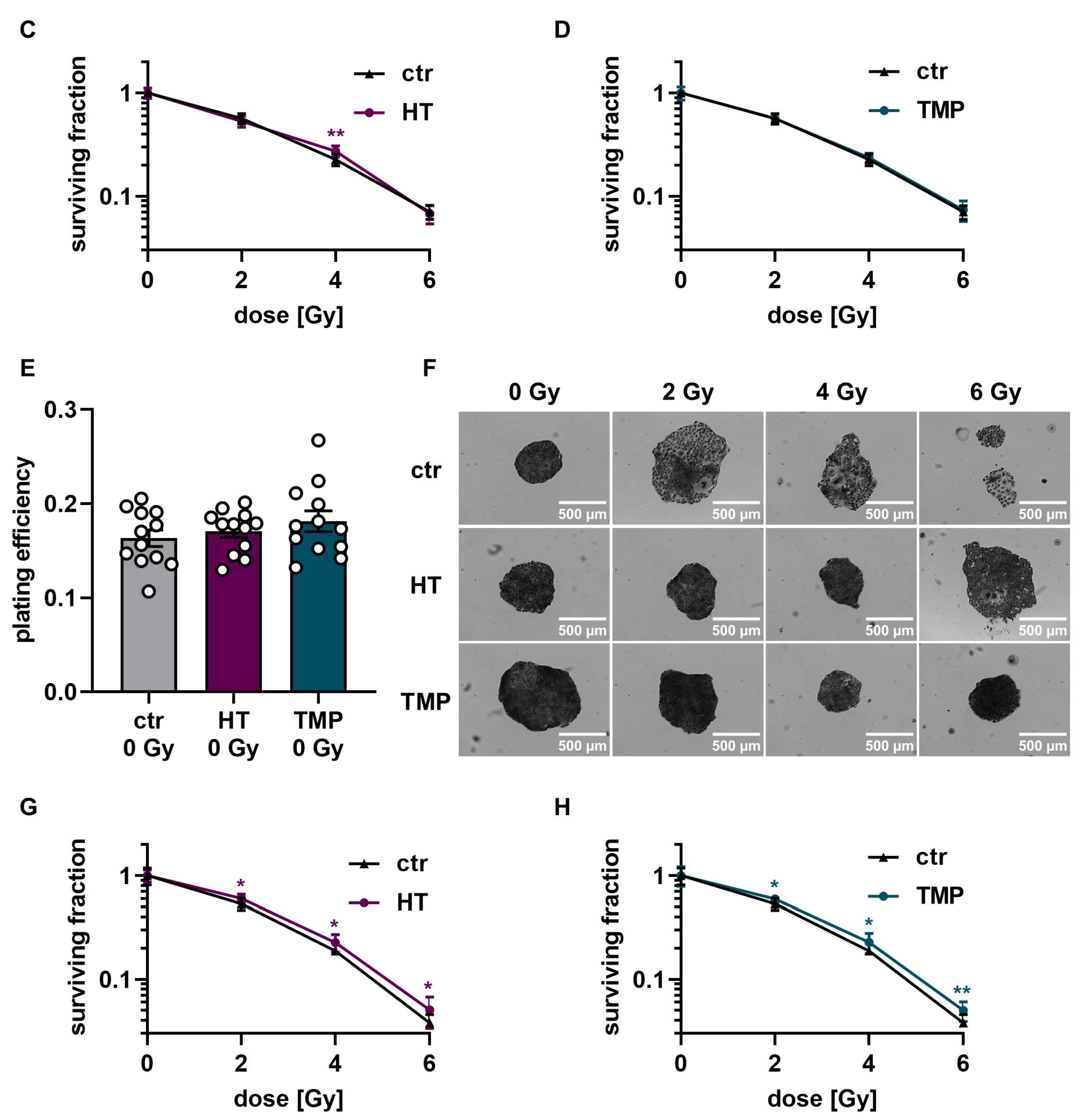 Antioxidants 13 00961 g006b