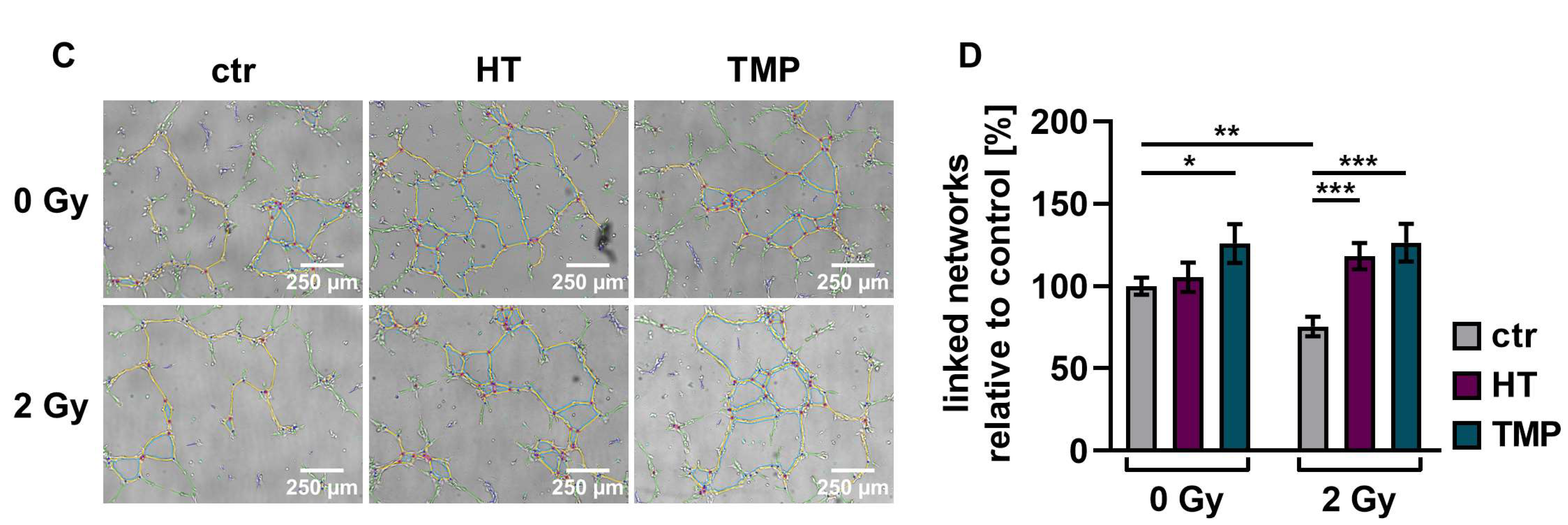 Antioxidants 13 00961 g008b