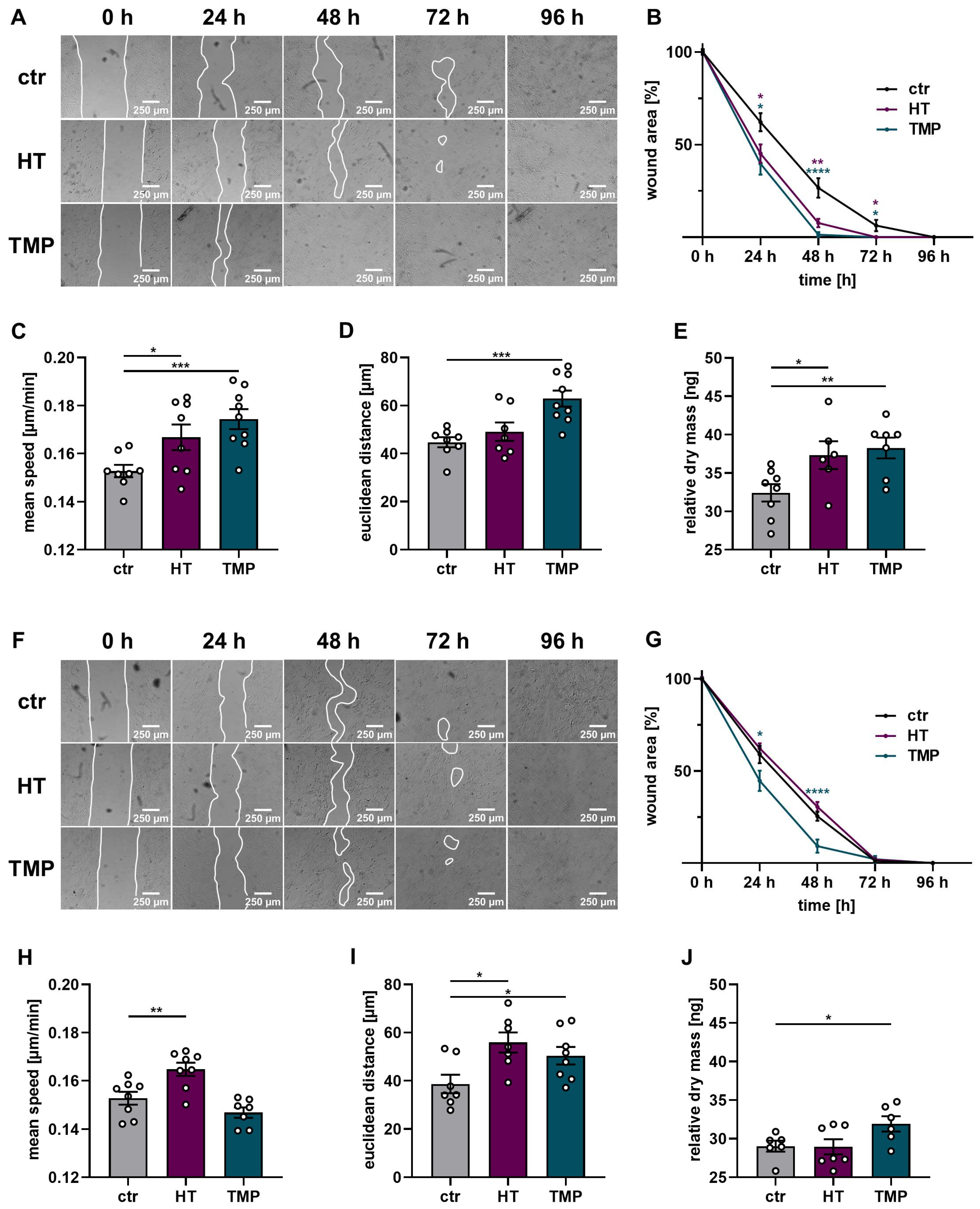 Antioxidants 13 00961 g009