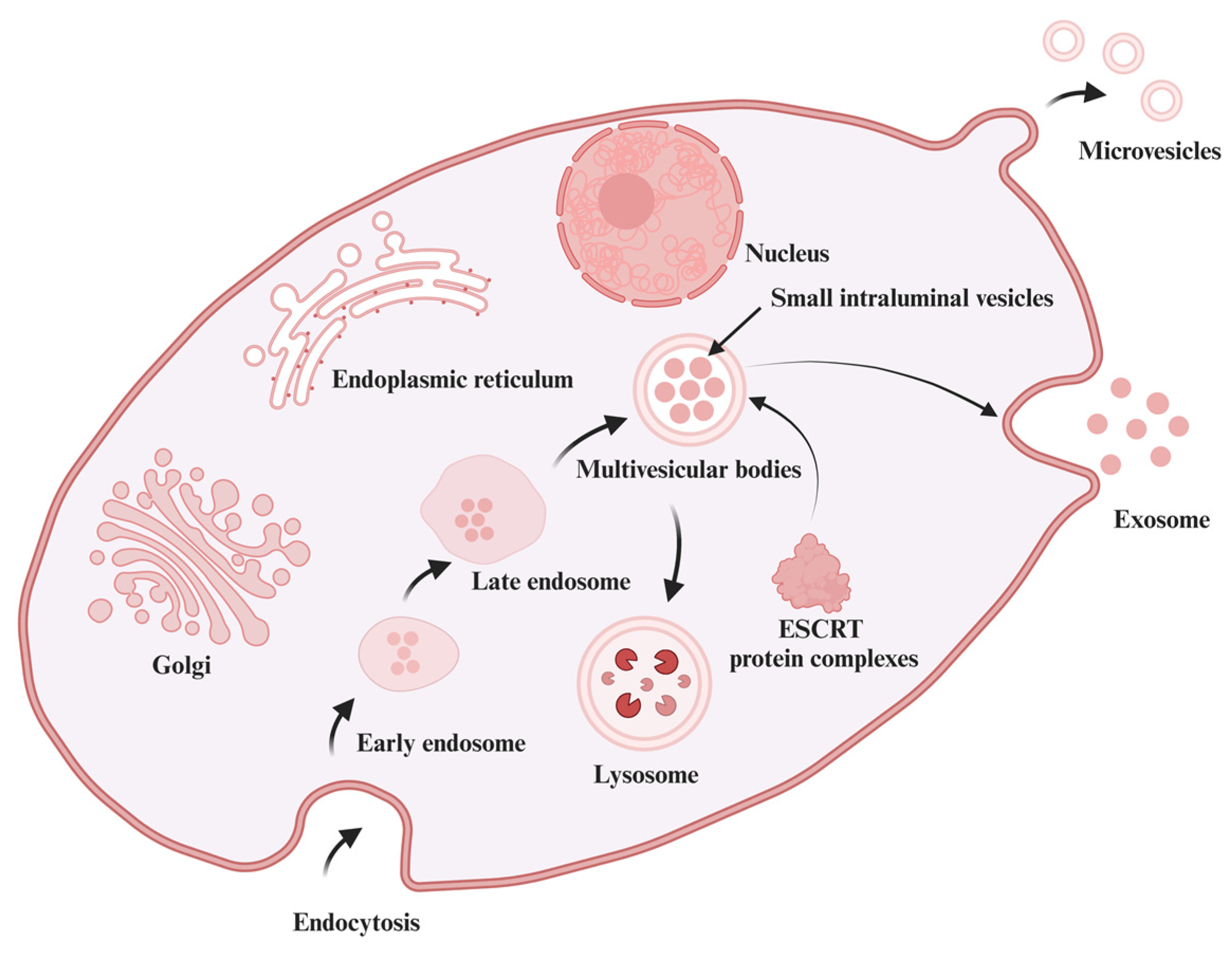 Antioxidants 13 00964 g001