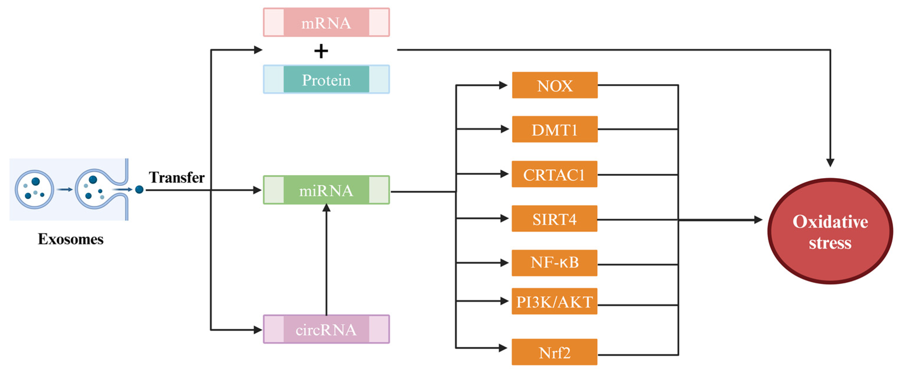 Antioxidants 13 00964 g002