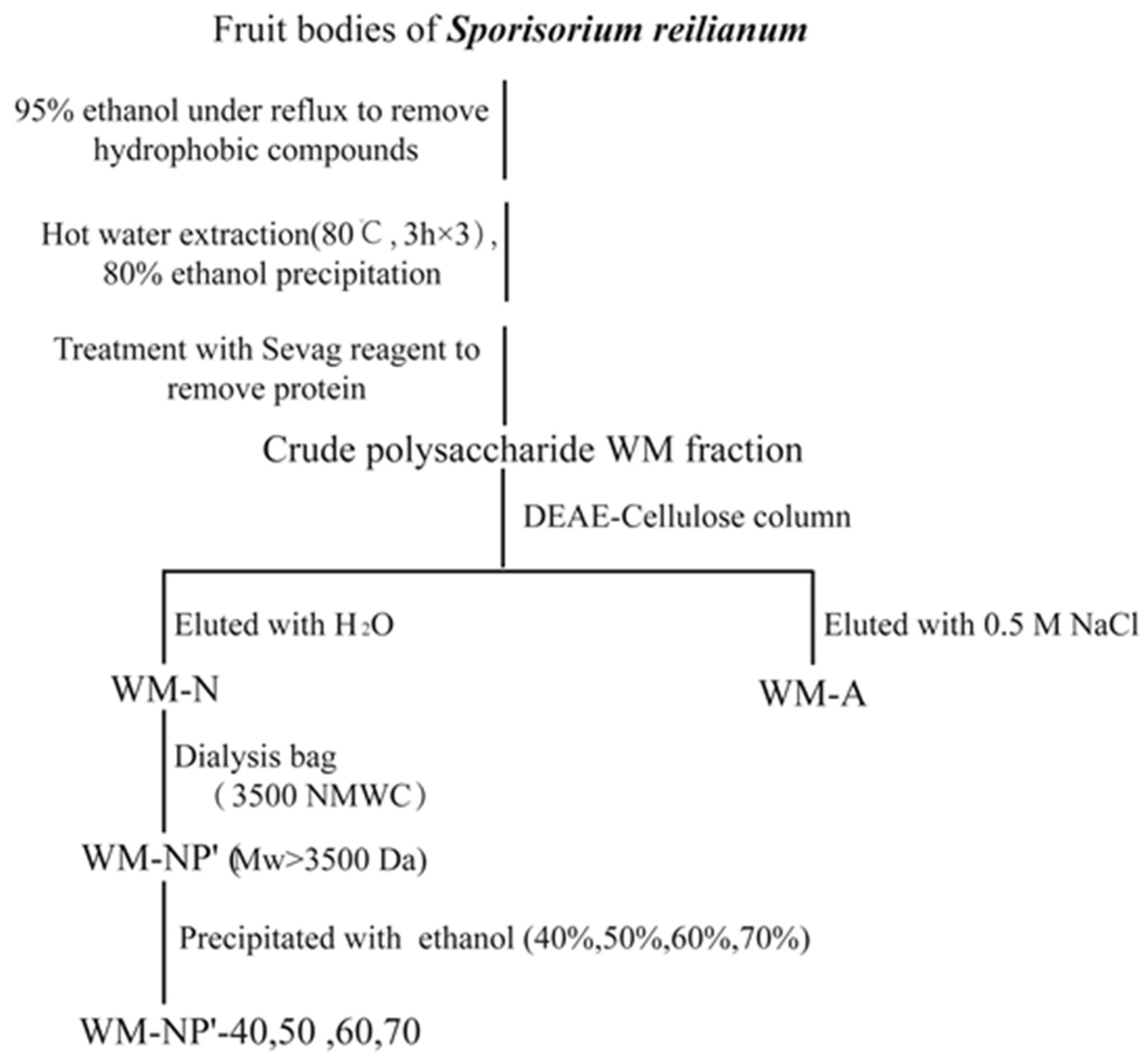 Antioxidants 13 00965 g001
