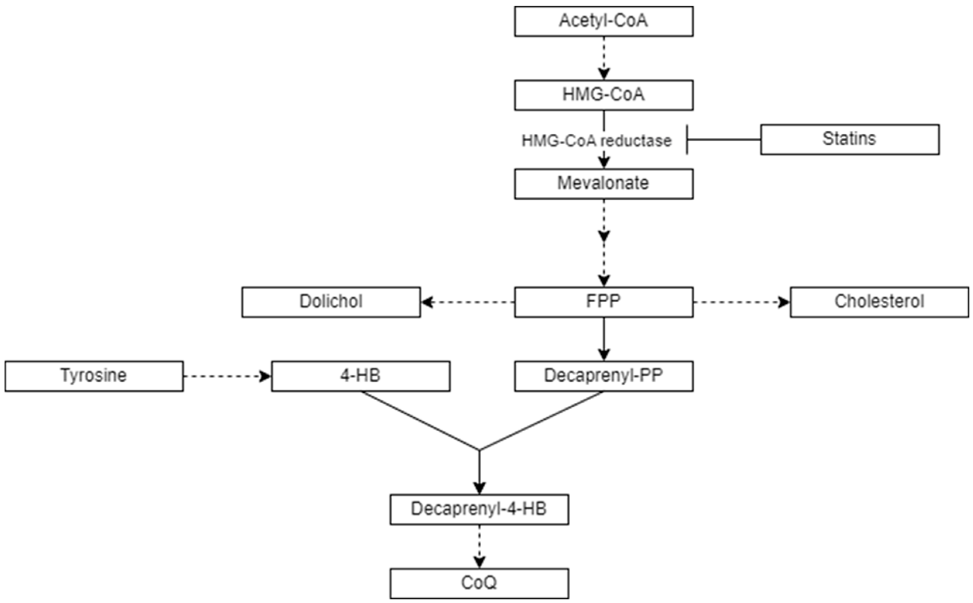 Antioxidants 13 00966 g001