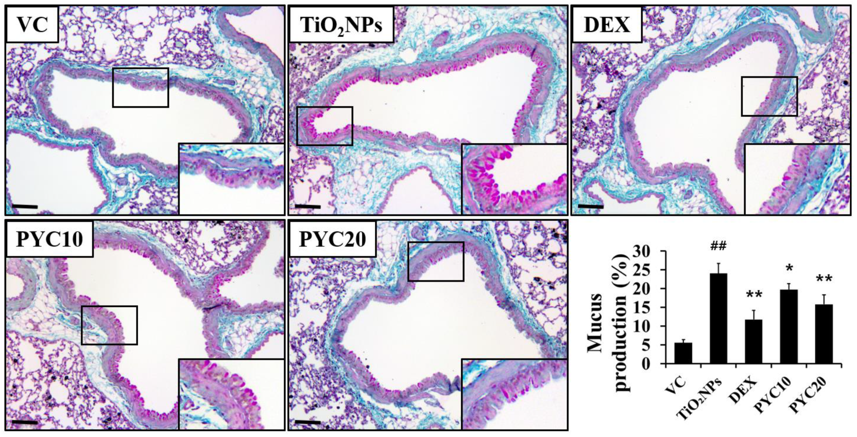 Antioxidants 13 00972 g004