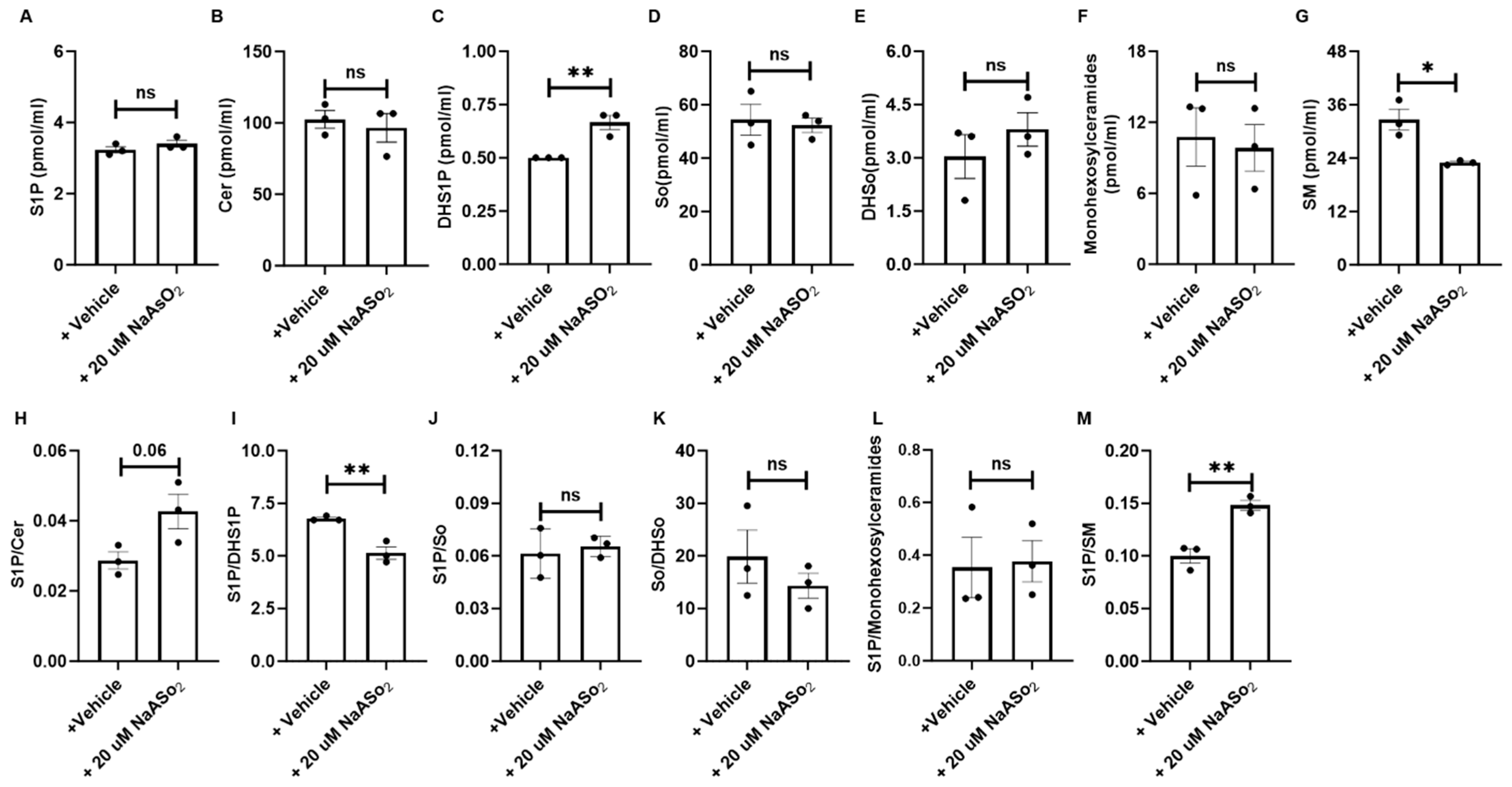 Antioxidants 13 00978 g004