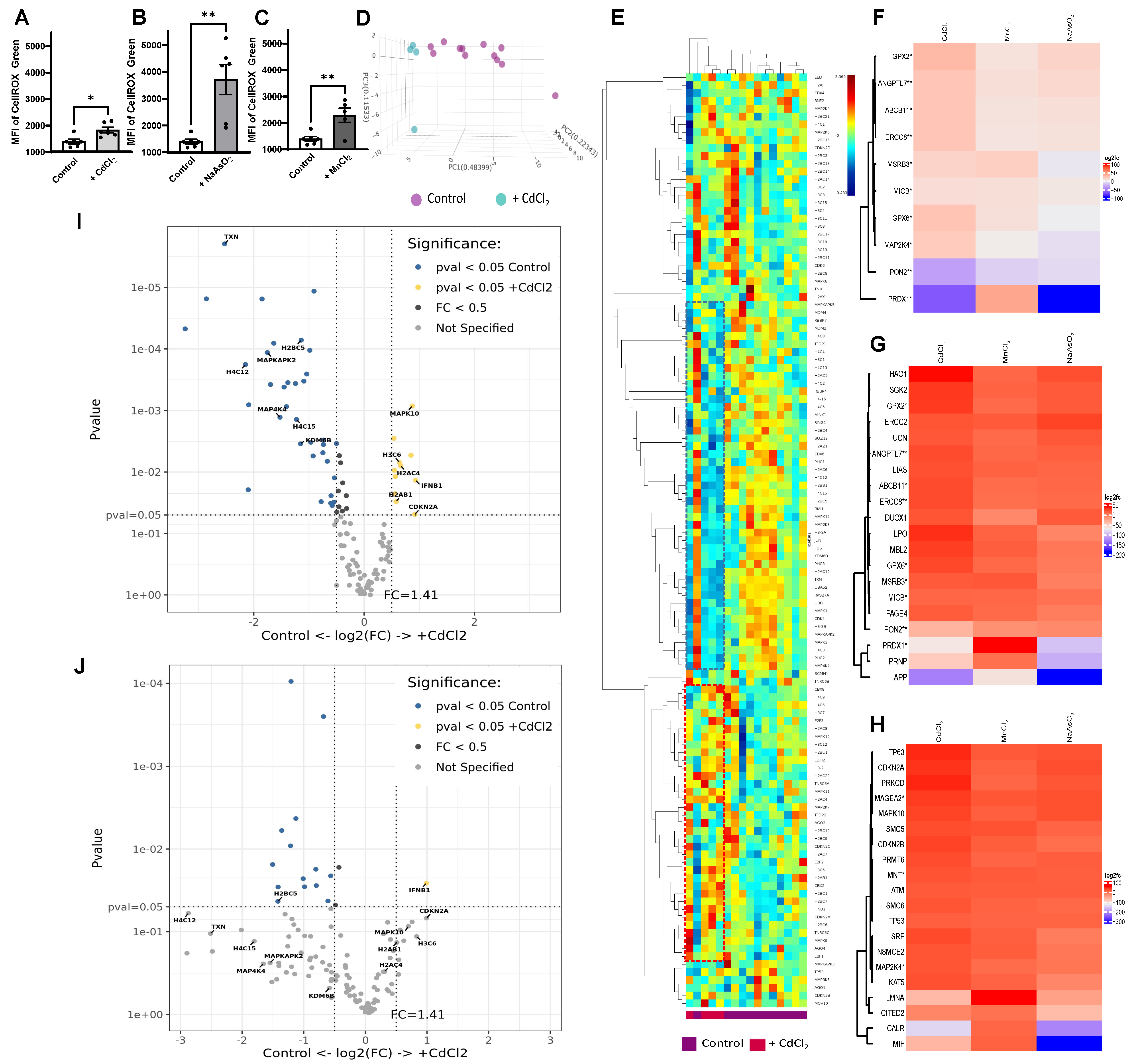 Antioxidants 13 00978 g010