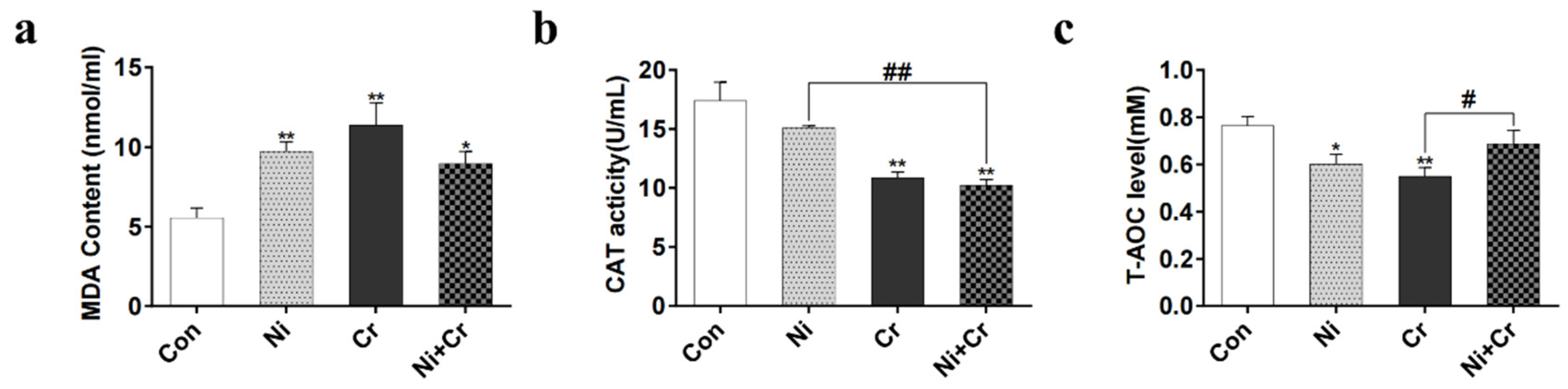 Antioxidants 13 00980 g004
