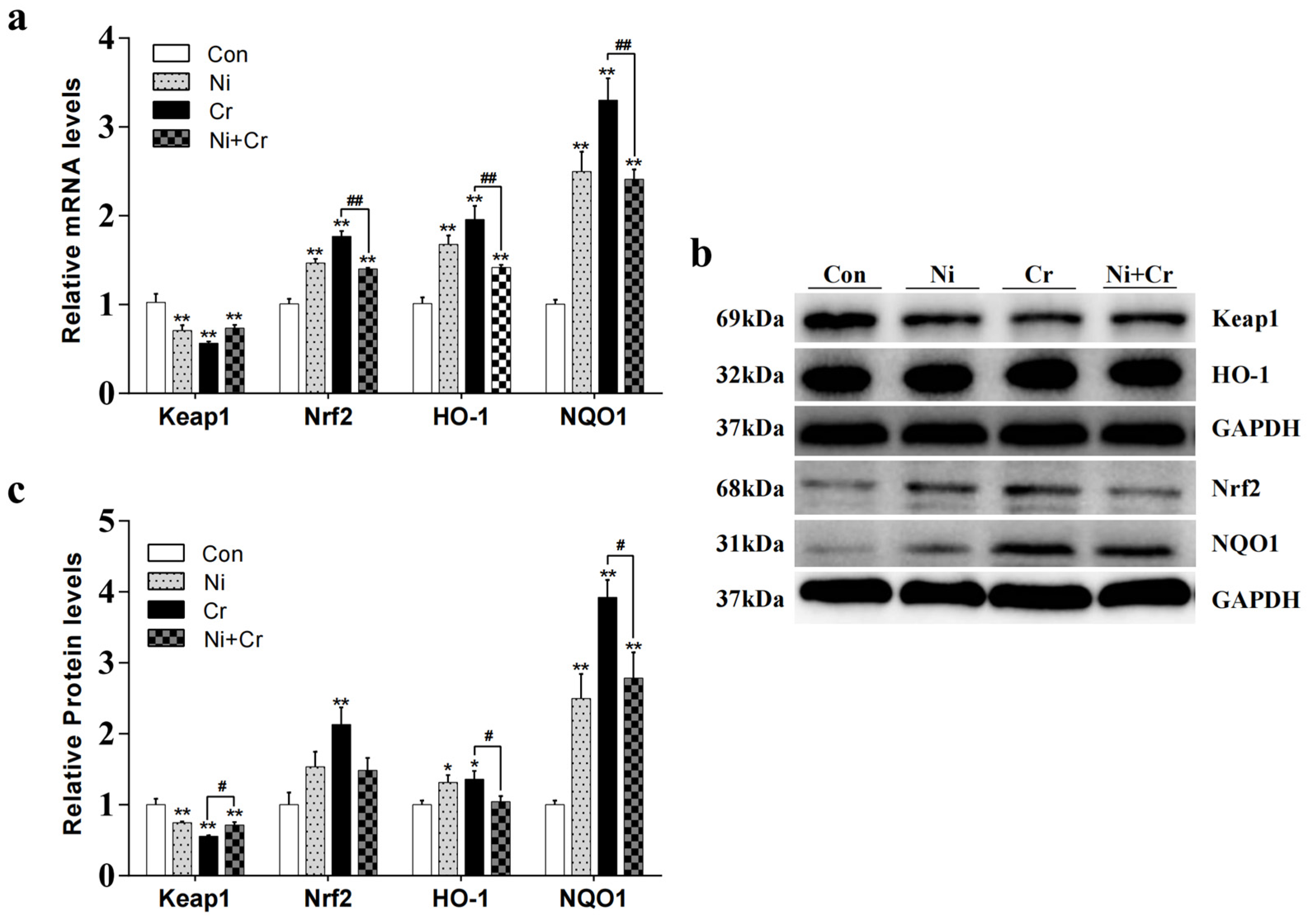 Antioxidants 13 00980 g006