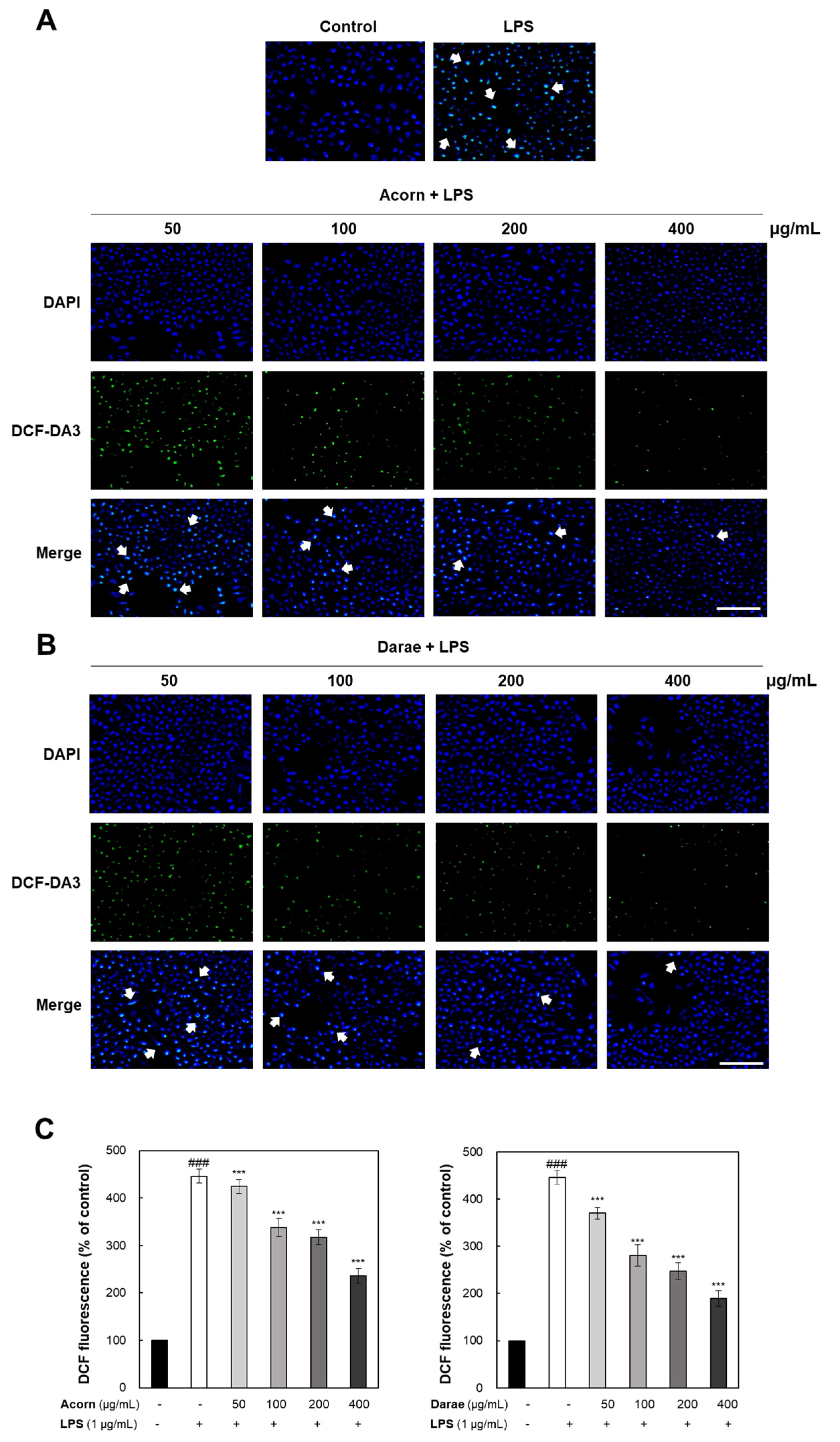 Antioxidants 13 00981 g002