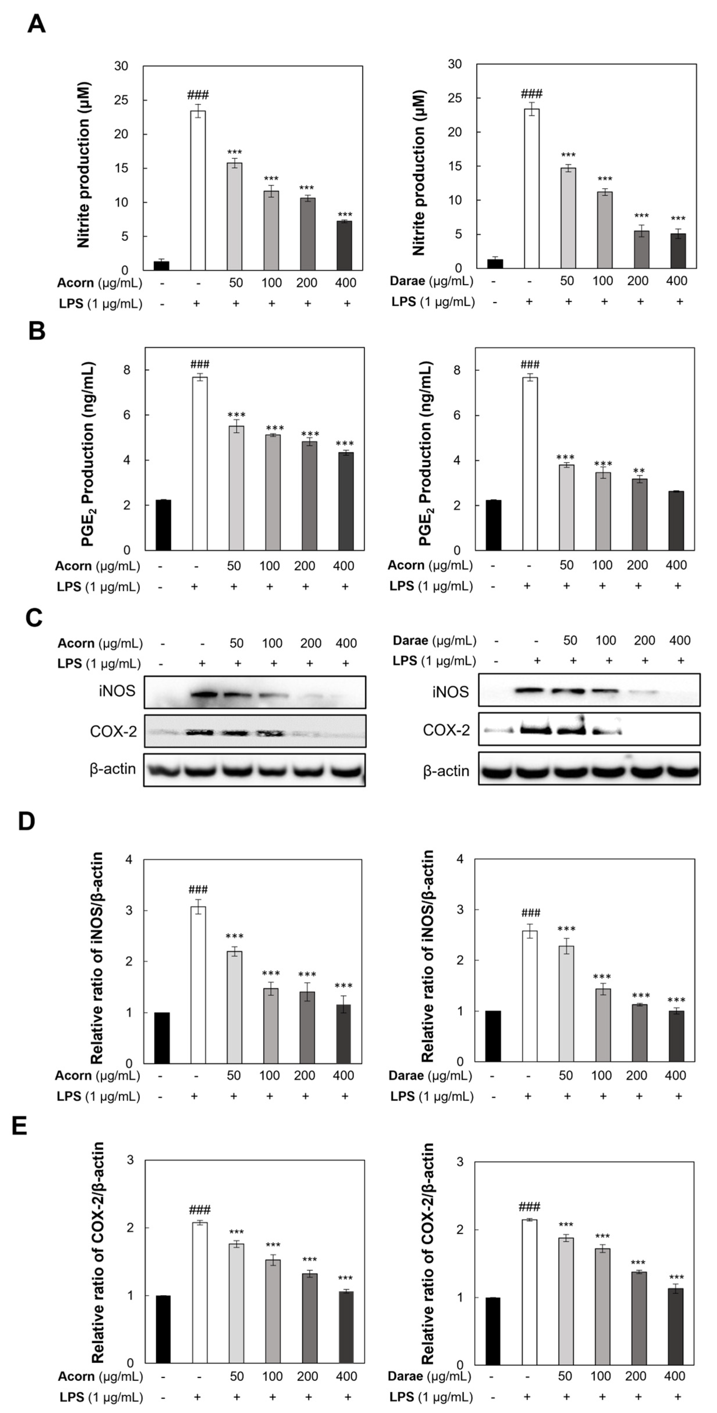 Antioxidants 13 00981 g004