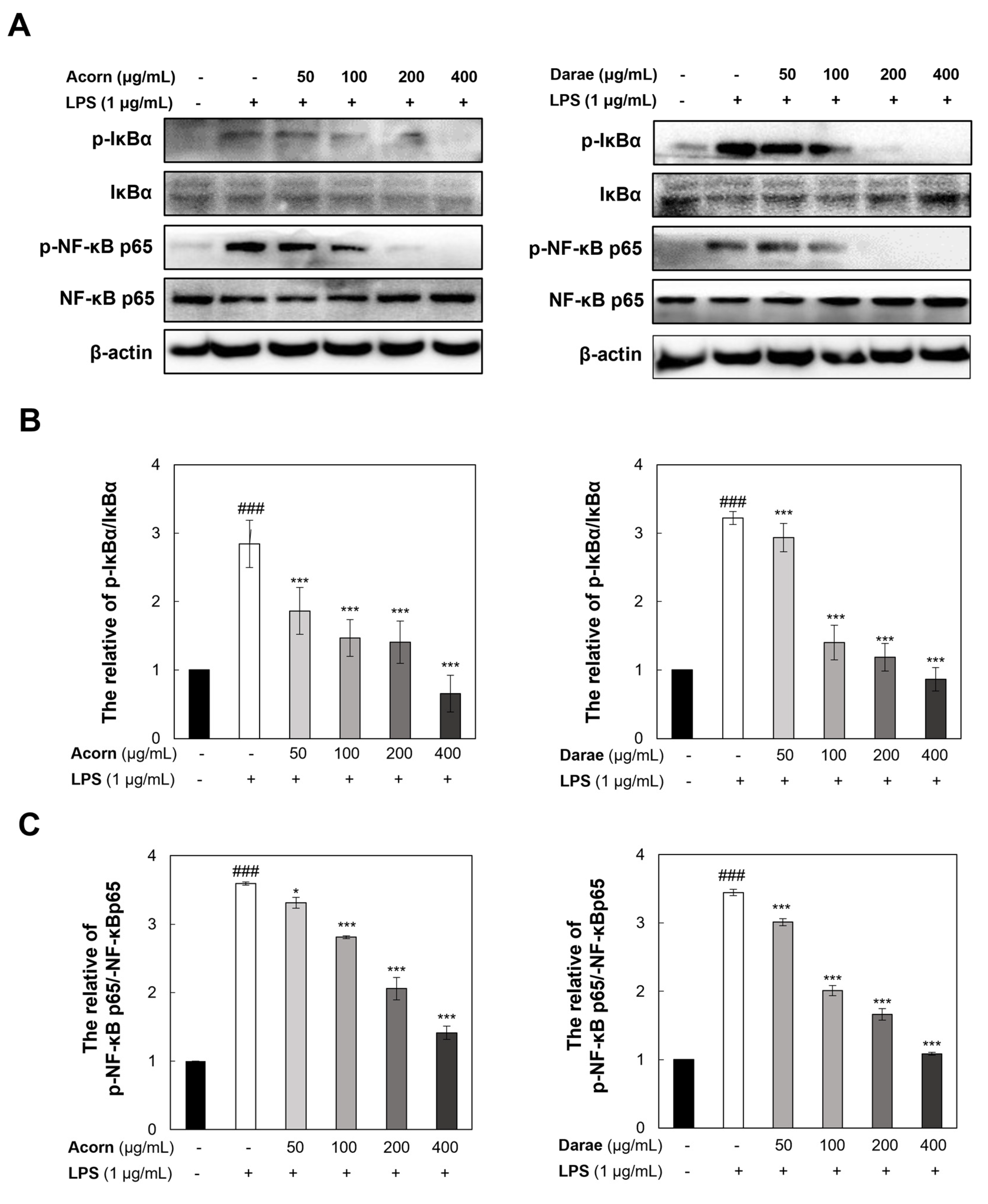 Antioxidants 13 00981 g006a