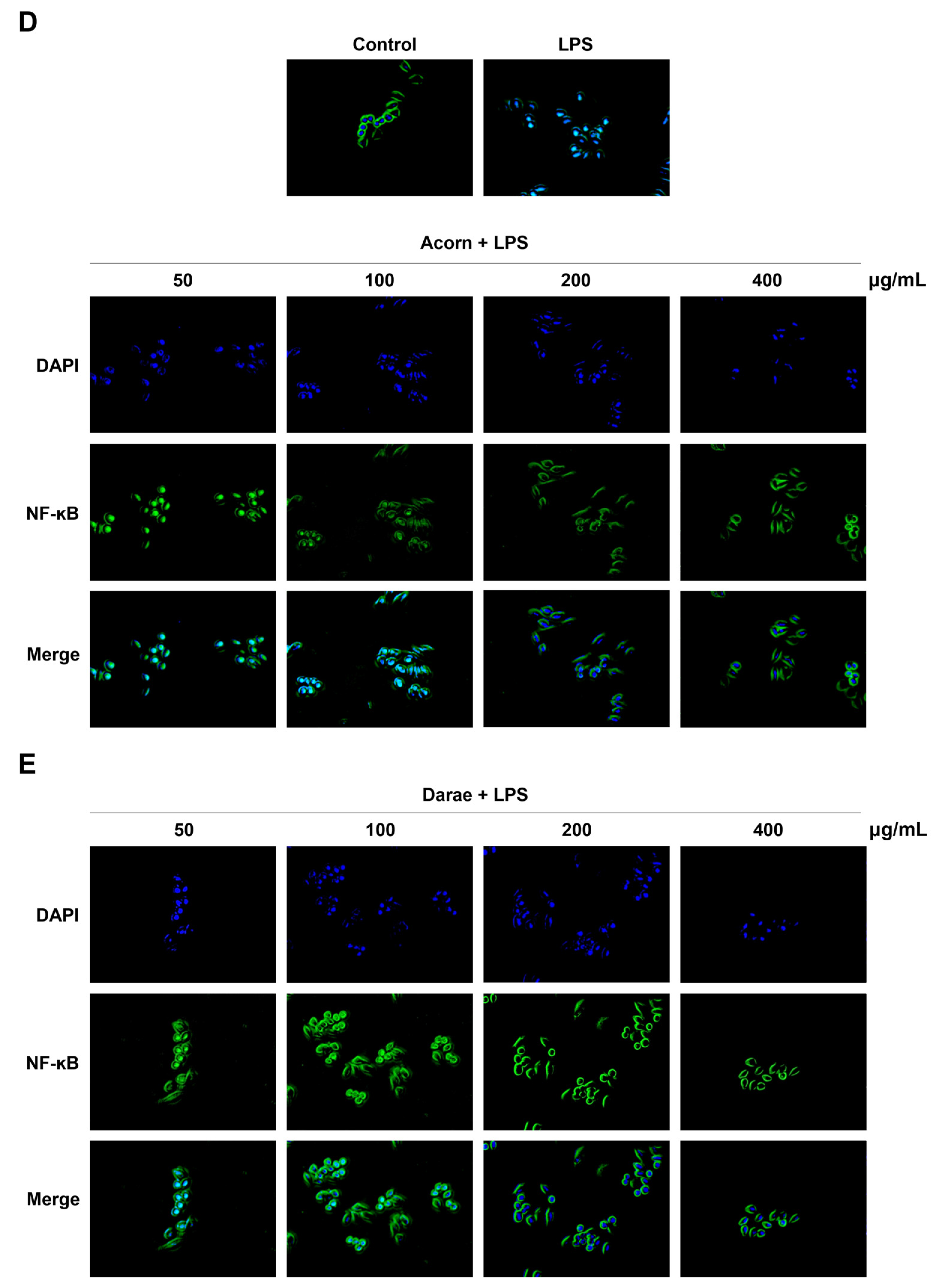 Antioxidants 13 00981 g006b