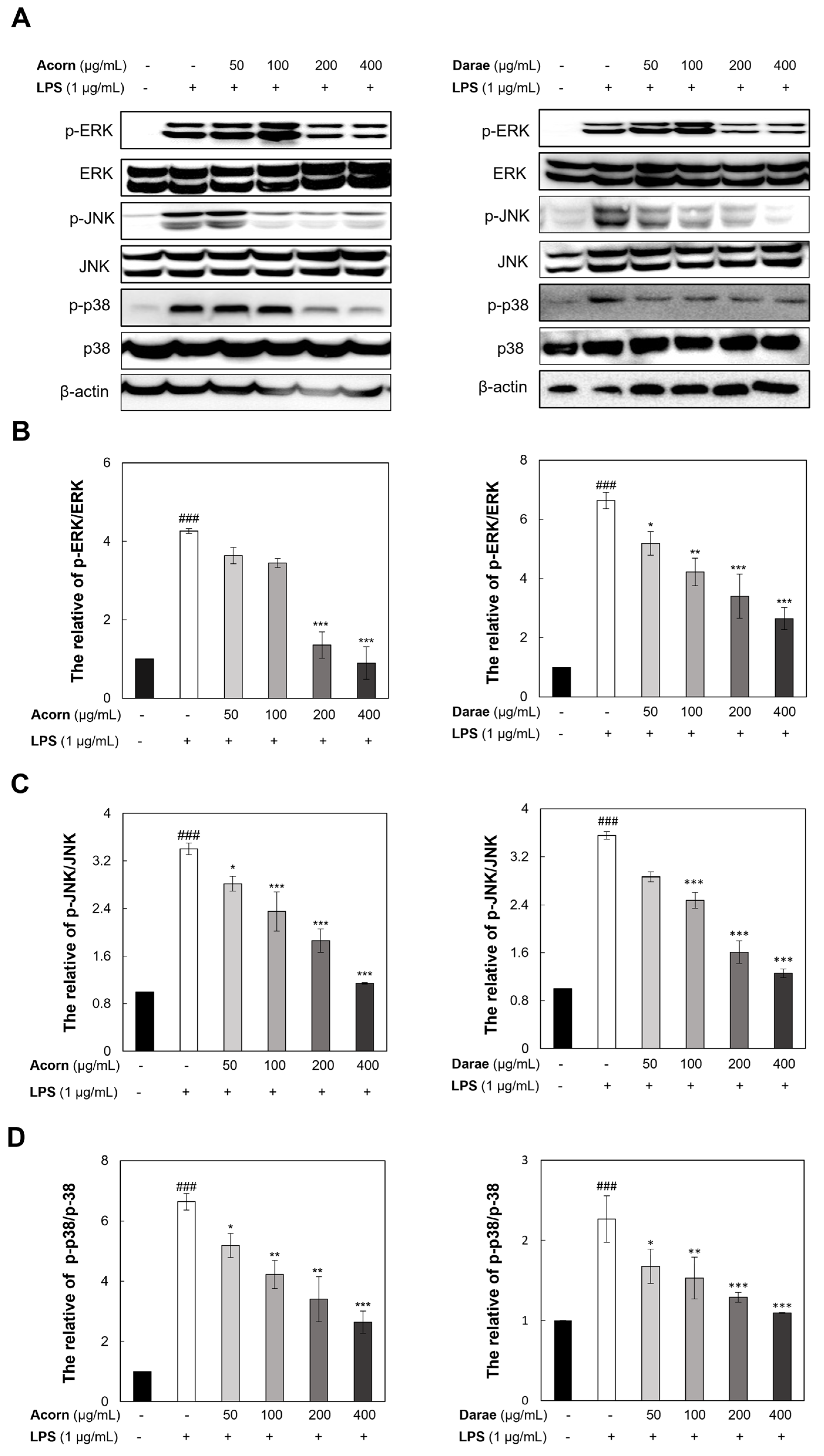 Antioxidants 13 00981 g007