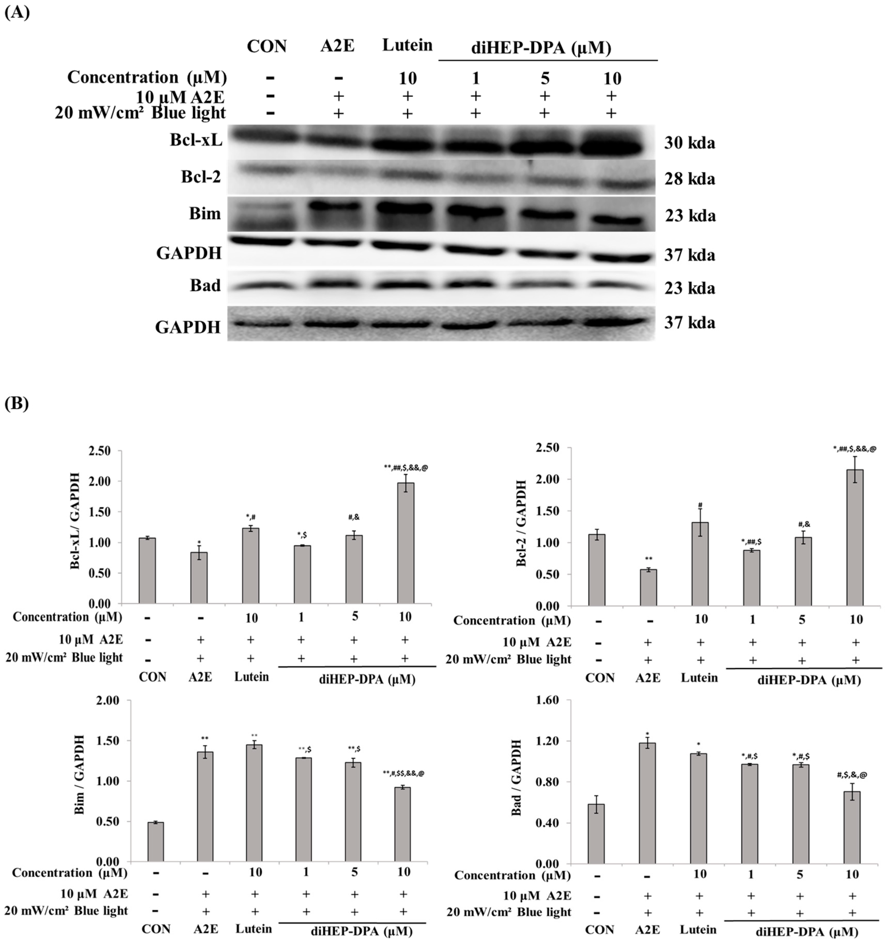 Antioxidants 13 00982 g003