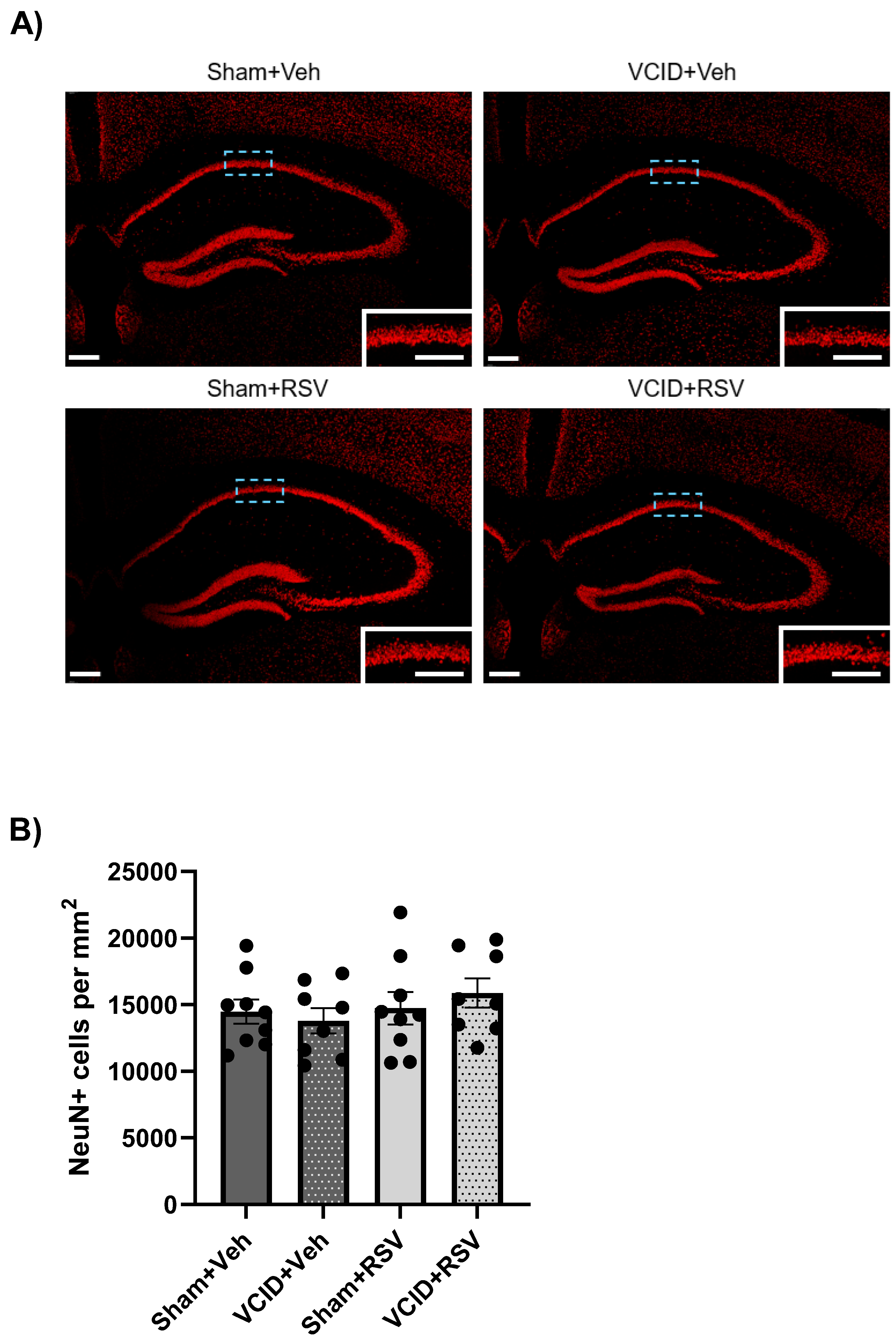 Antioxidants 13 00984 g005
