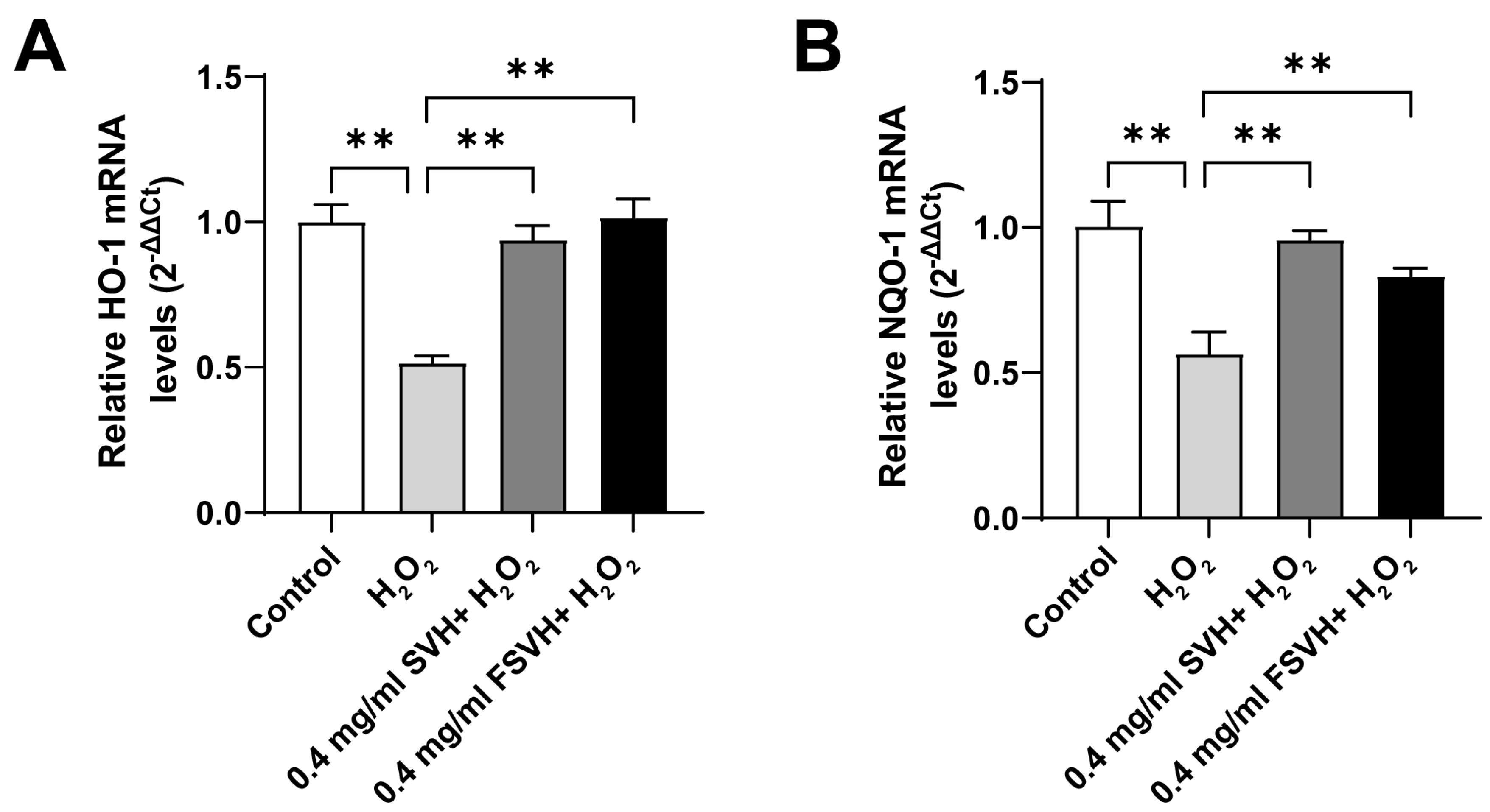 Antioxidants 13 00988 g005