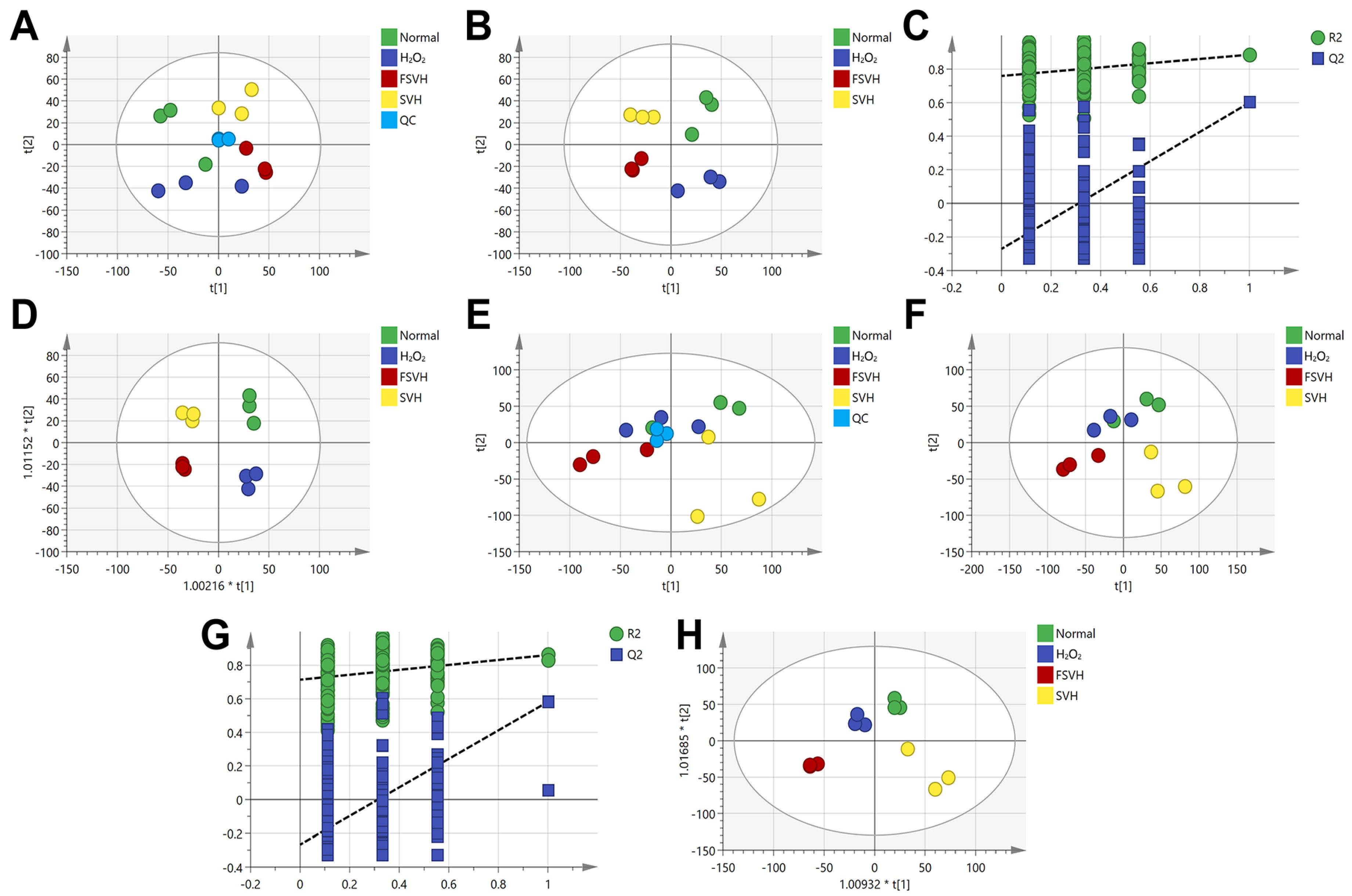Antioxidants 13 00988 g007