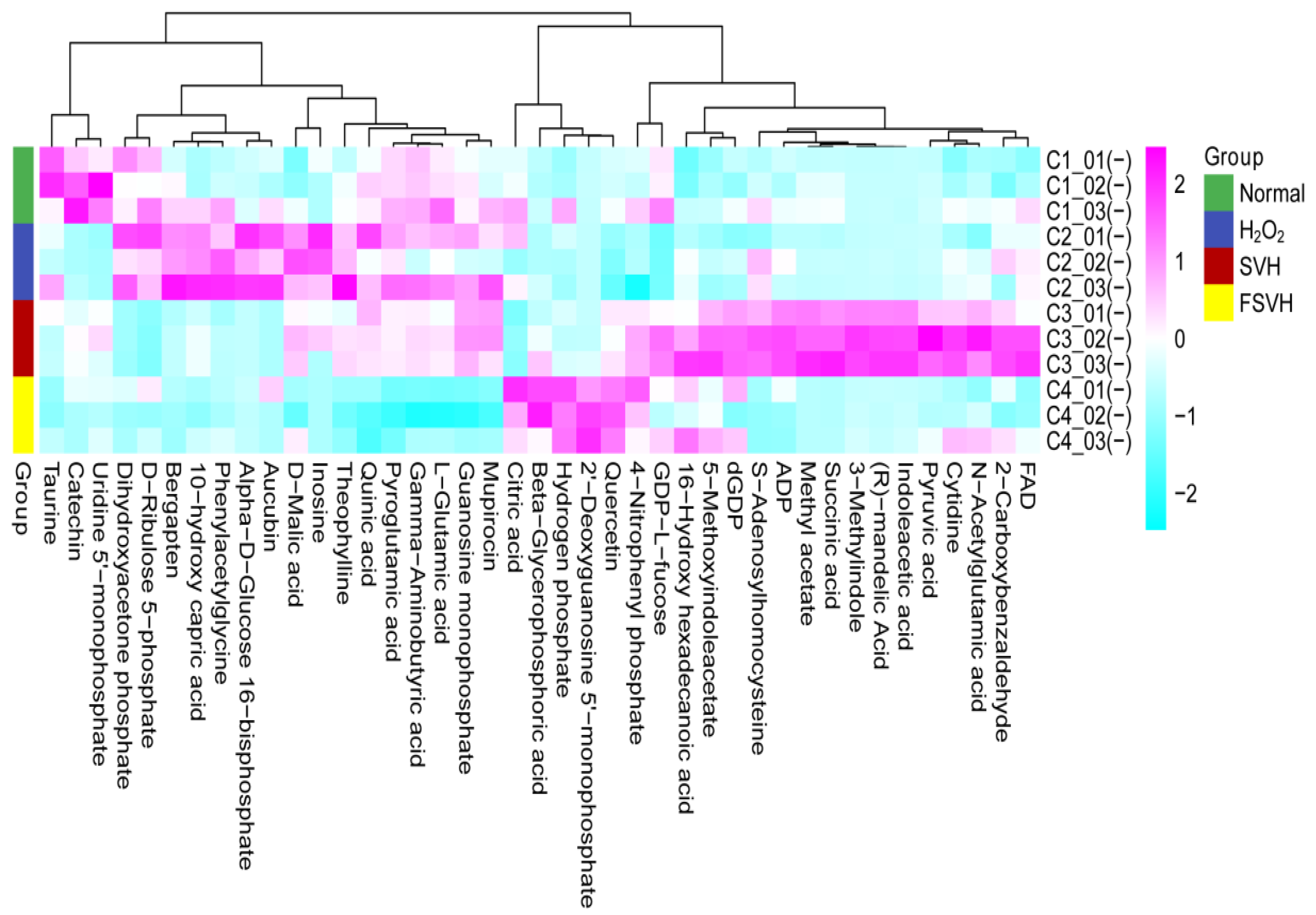 Antioxidants 13 00988 g008
