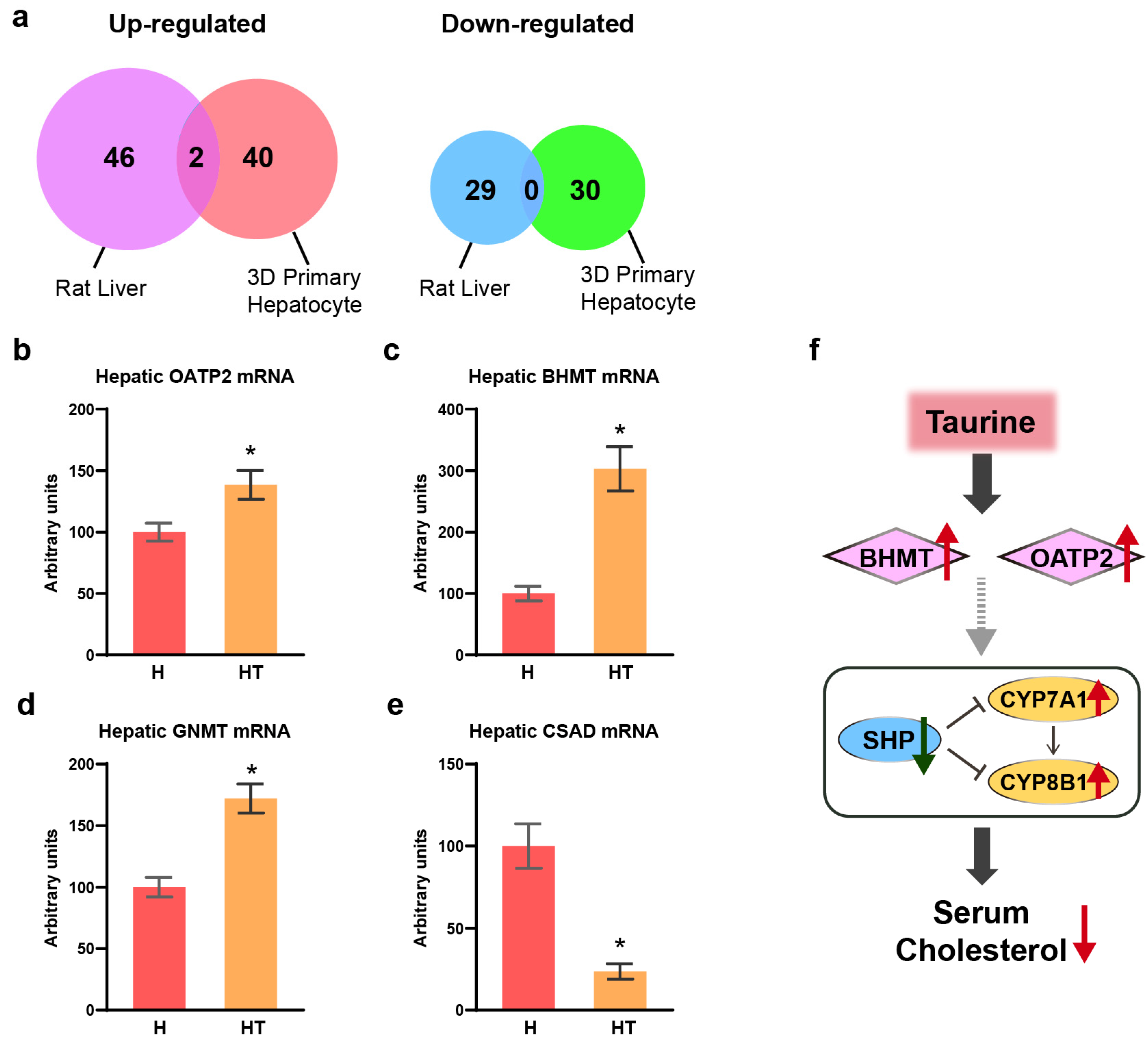 Antioxidants 13 00990 g004