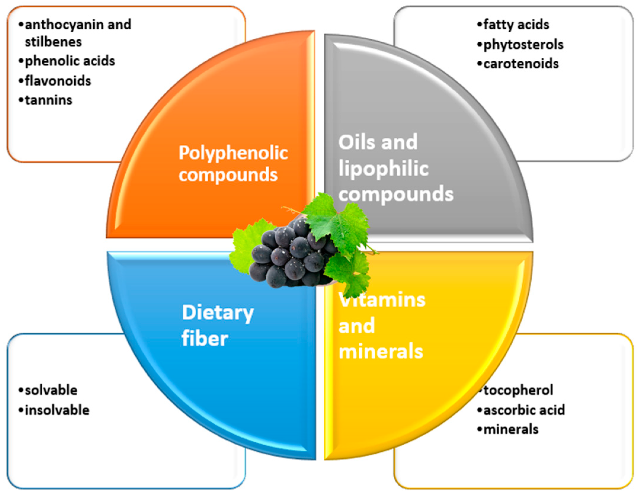 Antioxidants 13 00992 g001