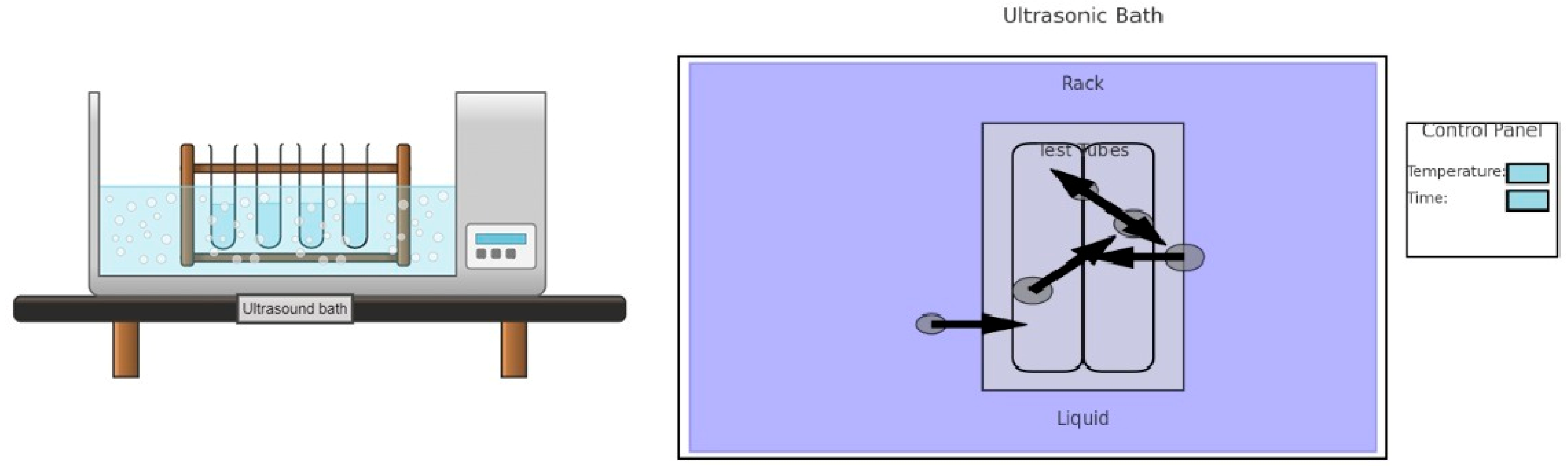 Antioxidants 13 00992 g005