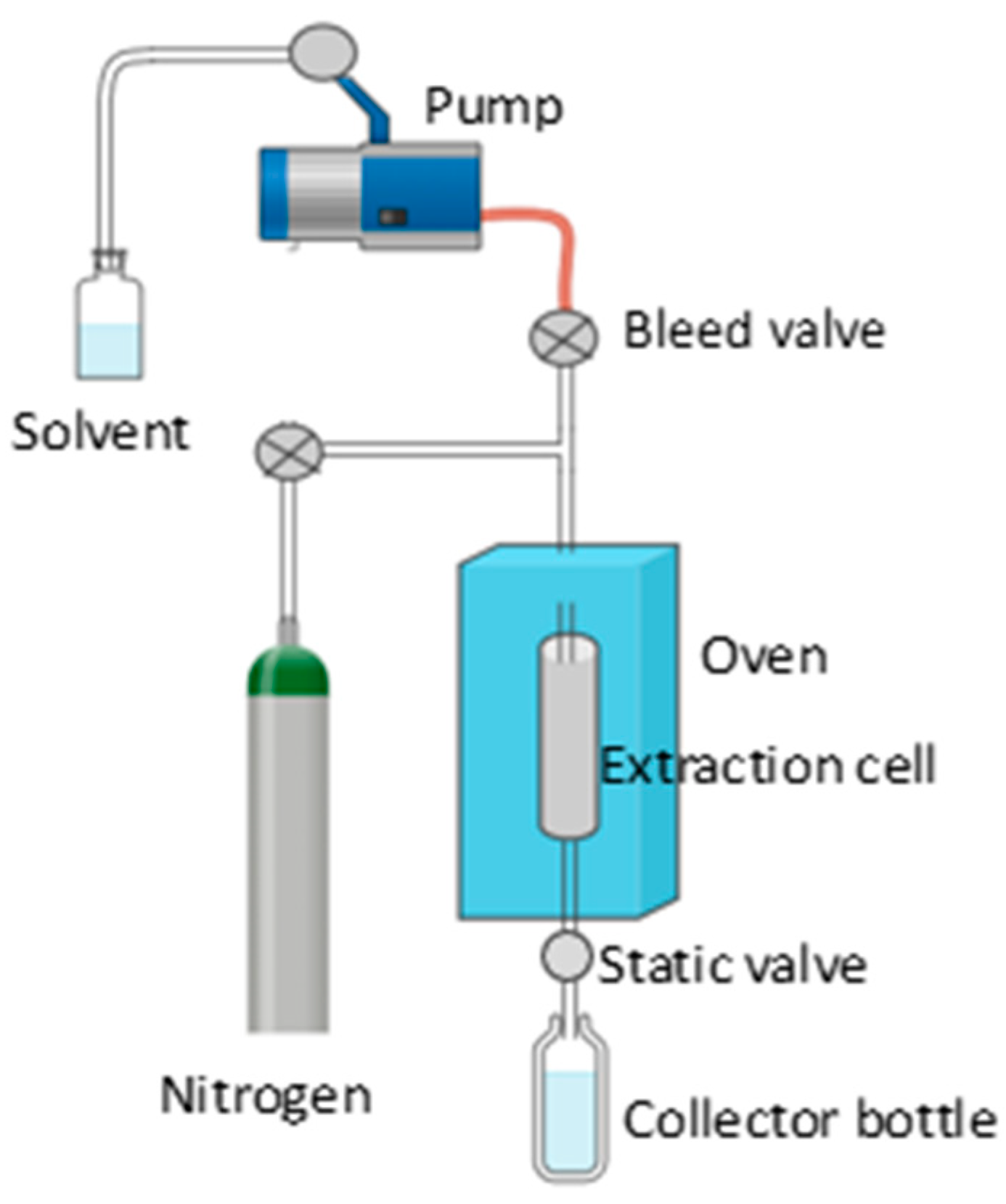 Antioxidants 13 00992 g008