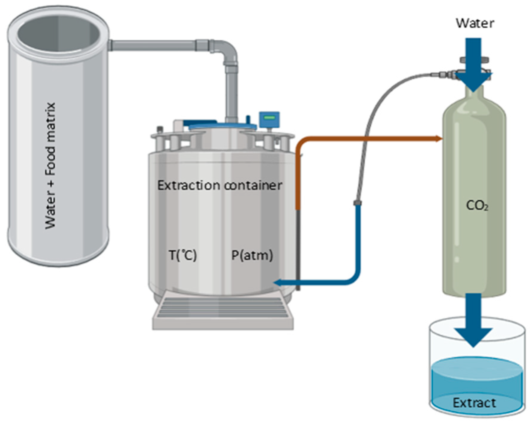 Antioxidants 13 00992 g009