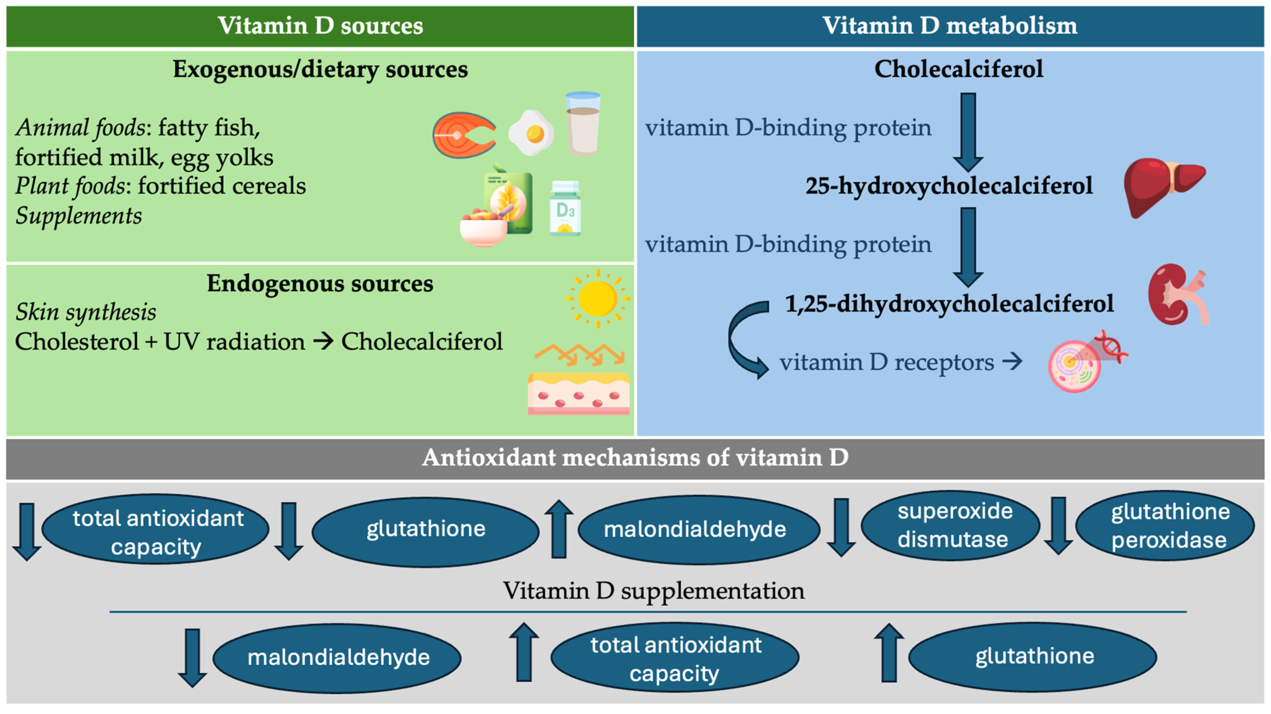 Antioxidants 13 00996 g001