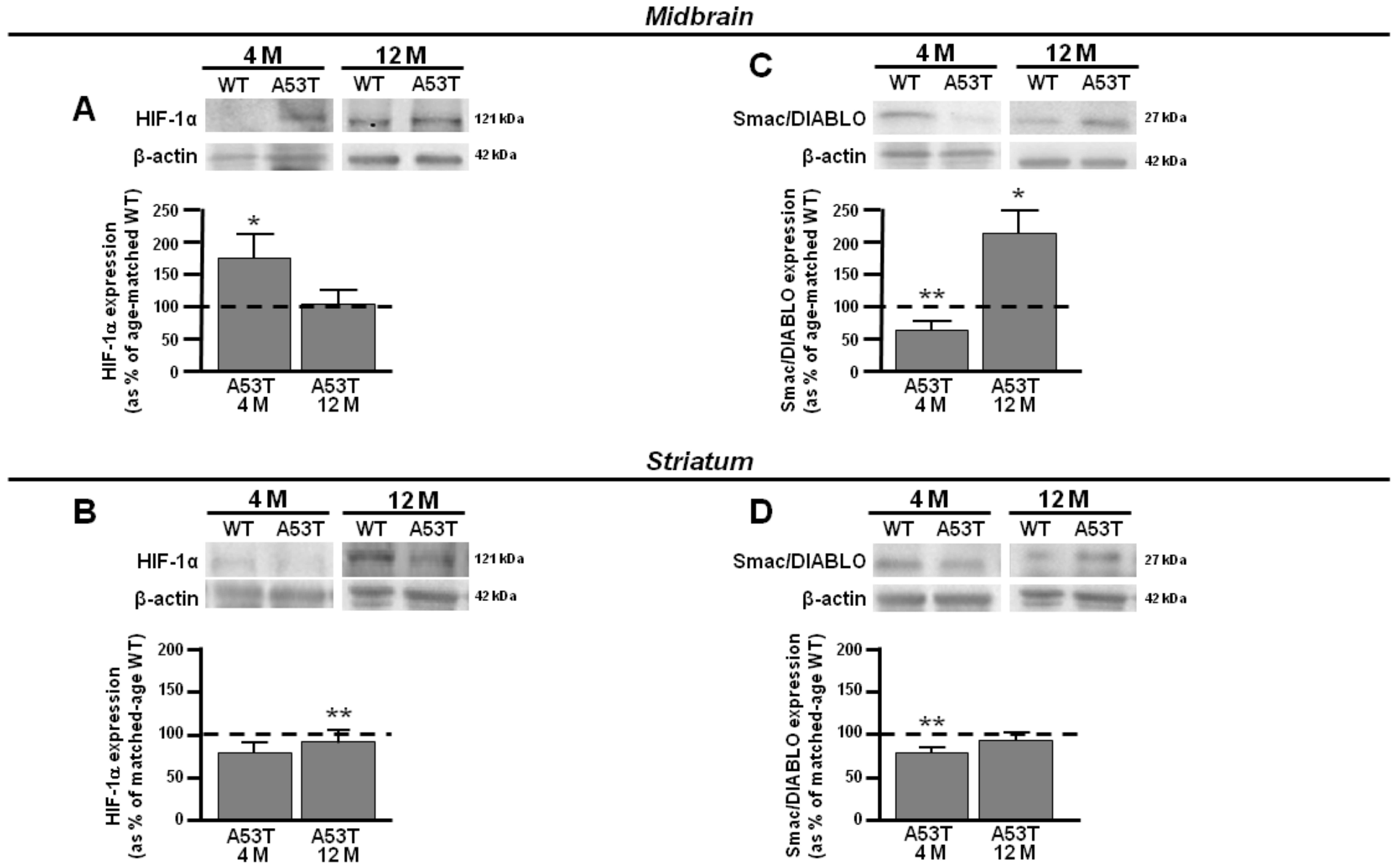 Antioxidants 13 00999 g002