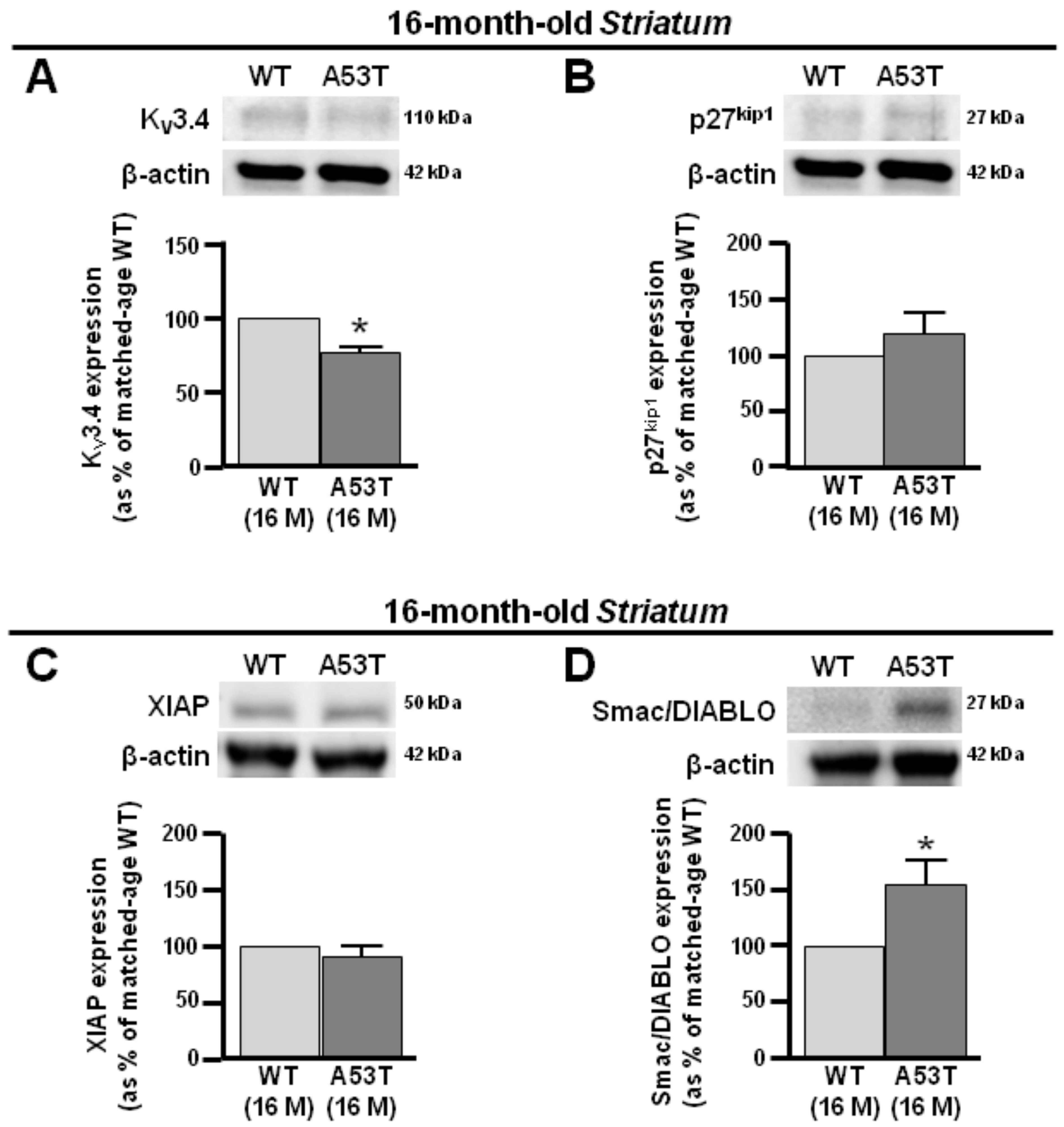Antioxidants 13 00999 g004