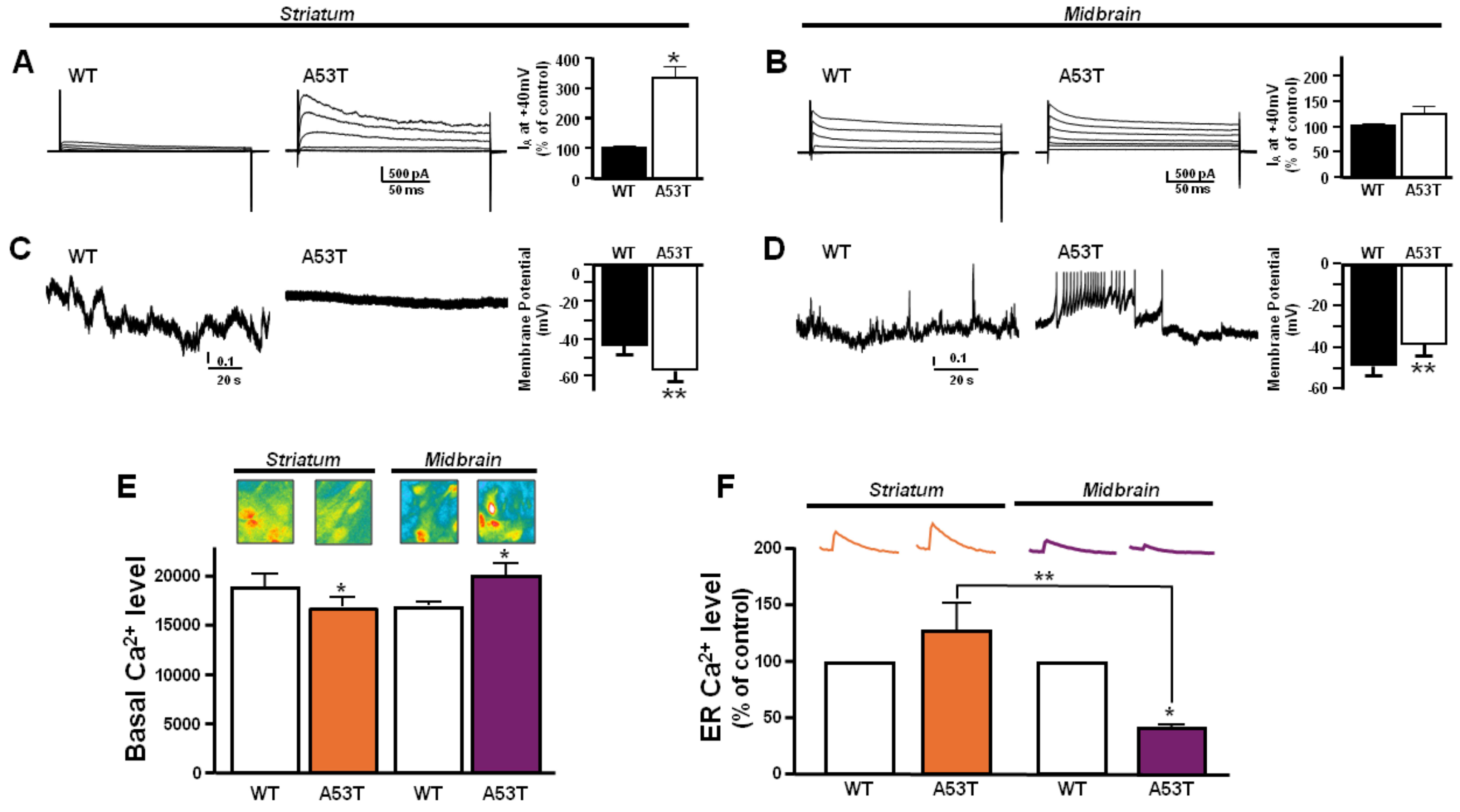 Antioxidants 13 00999 g006