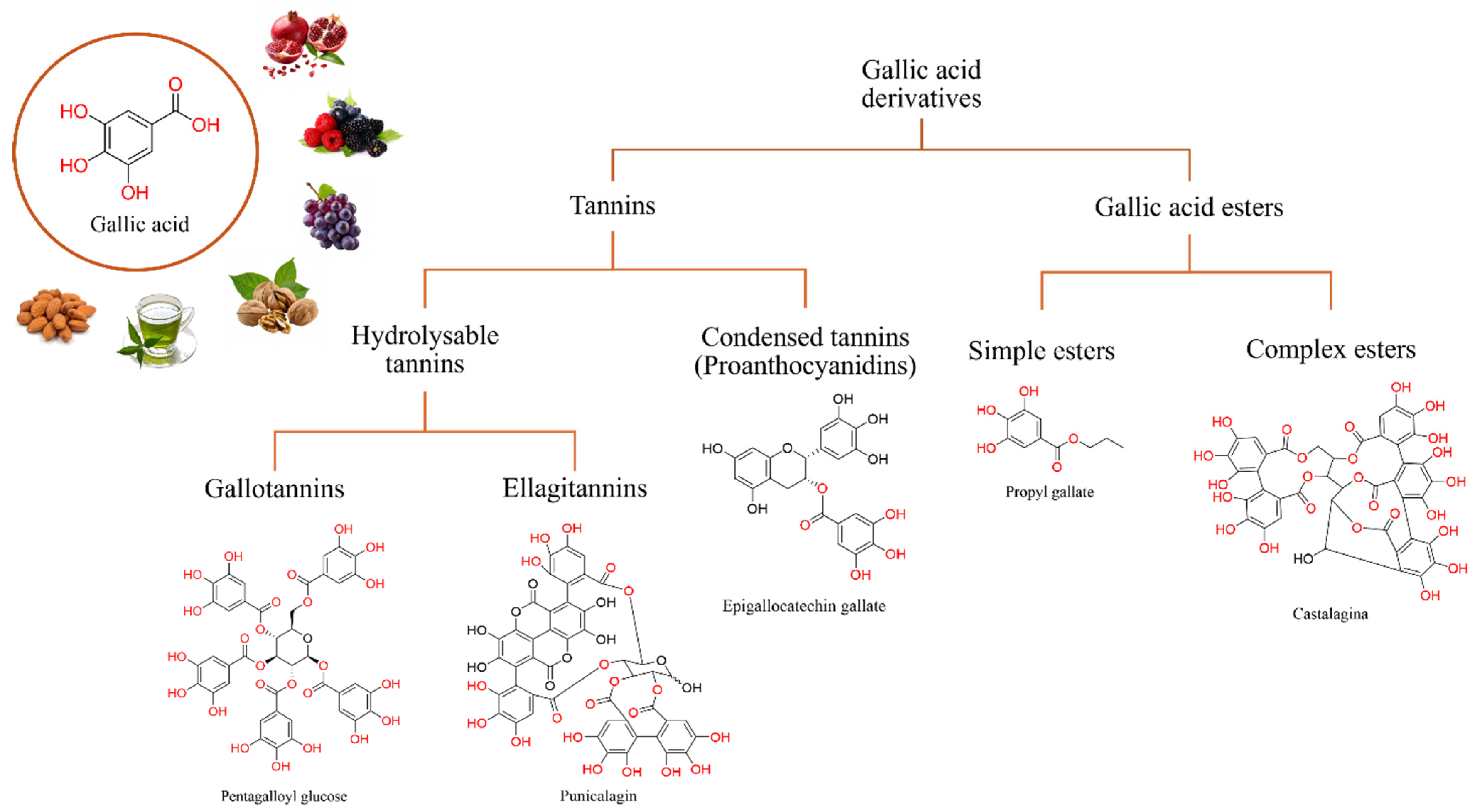 Antioxidants 13 01001 g001